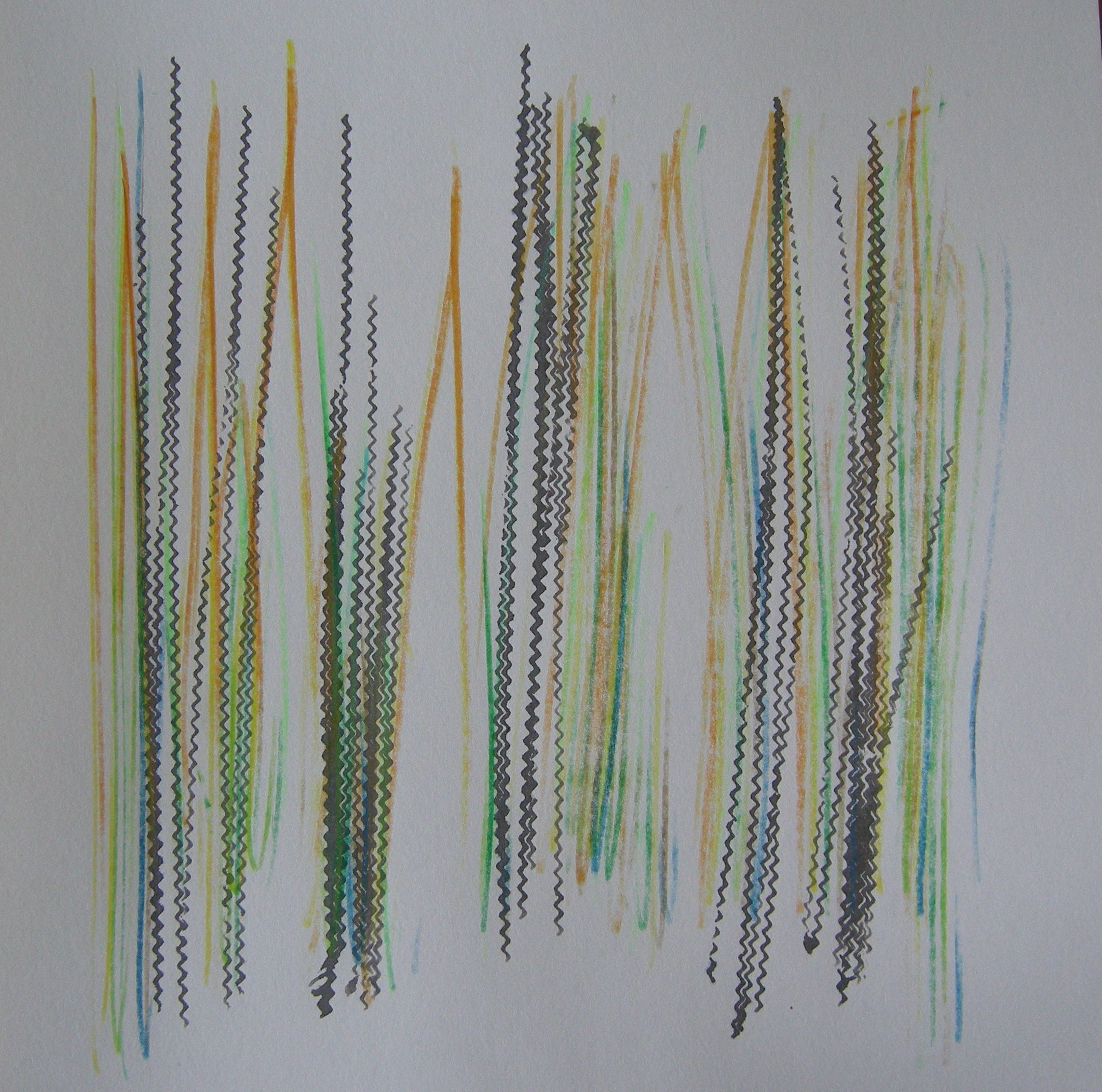 O.T. 2024 - 30x30