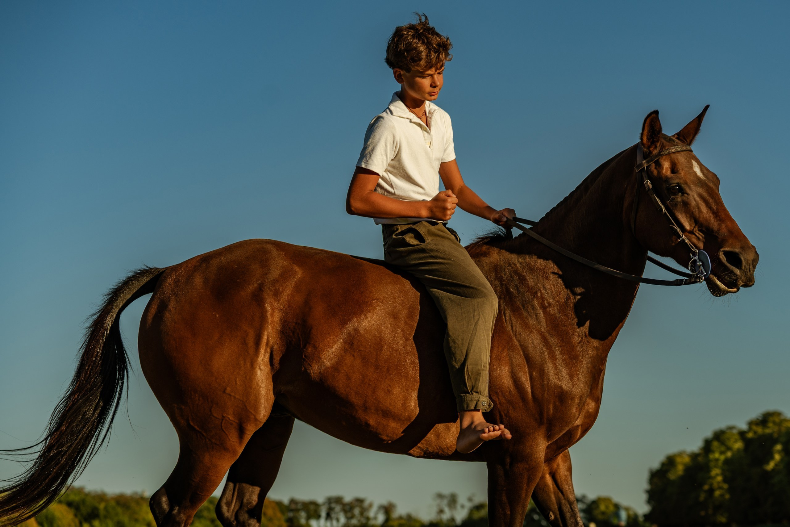 Photo shoot with horses
