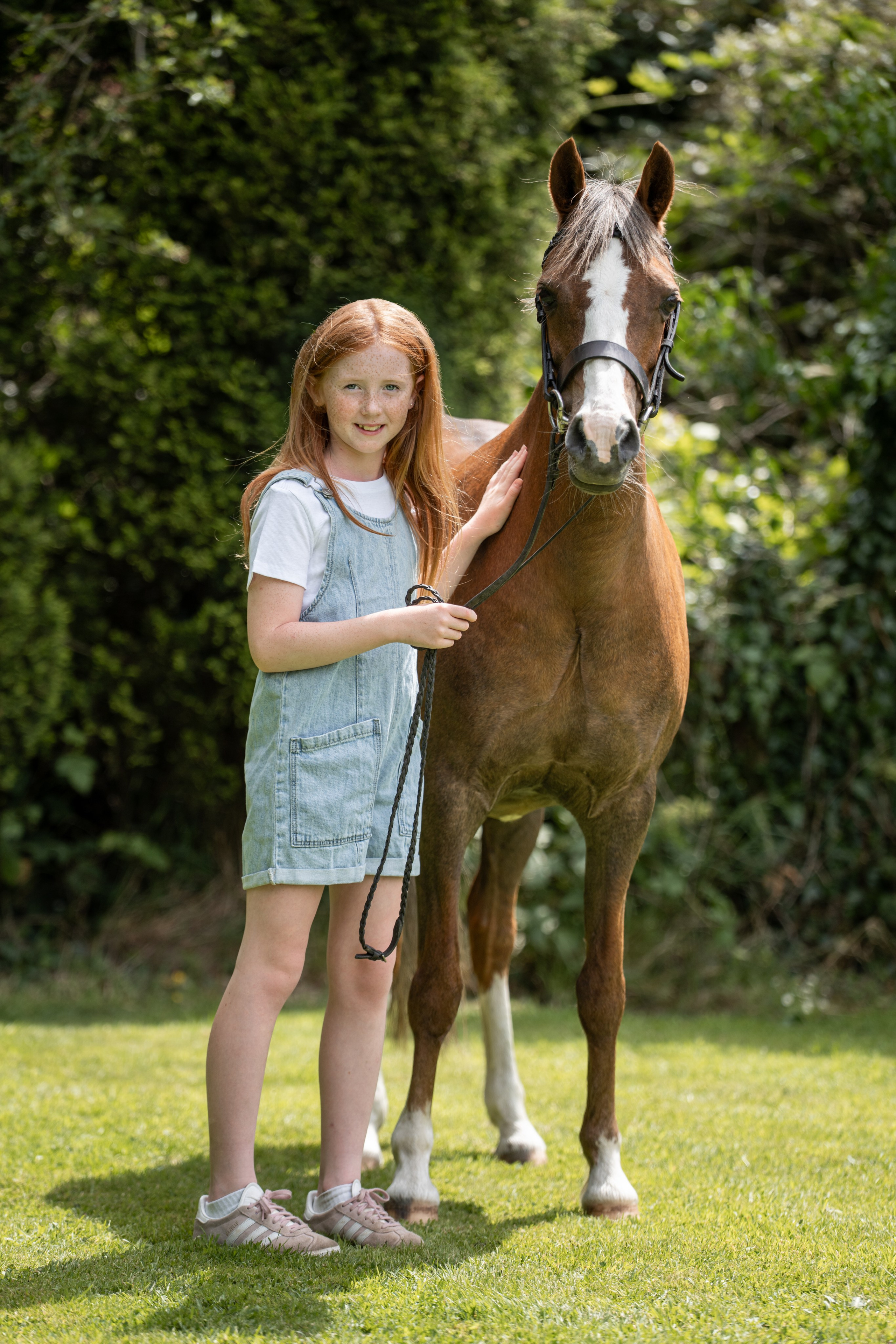 Equine Photography Portfolio | Leicestershire Horse Portrait Photographer. Leicestershire Equine Photography by El | Authentic Equine Portraits & Events