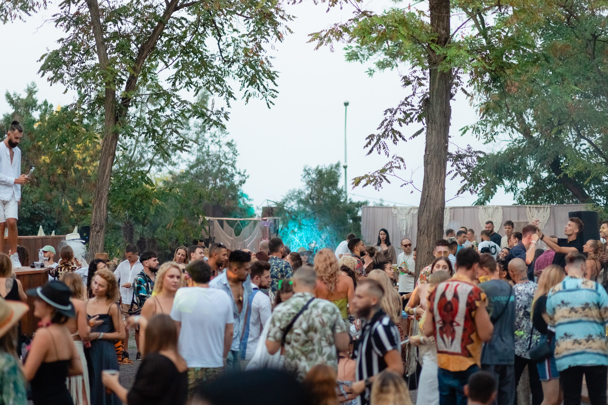 AESTETIQA — Jumanji. Welcome to my video and photo world!