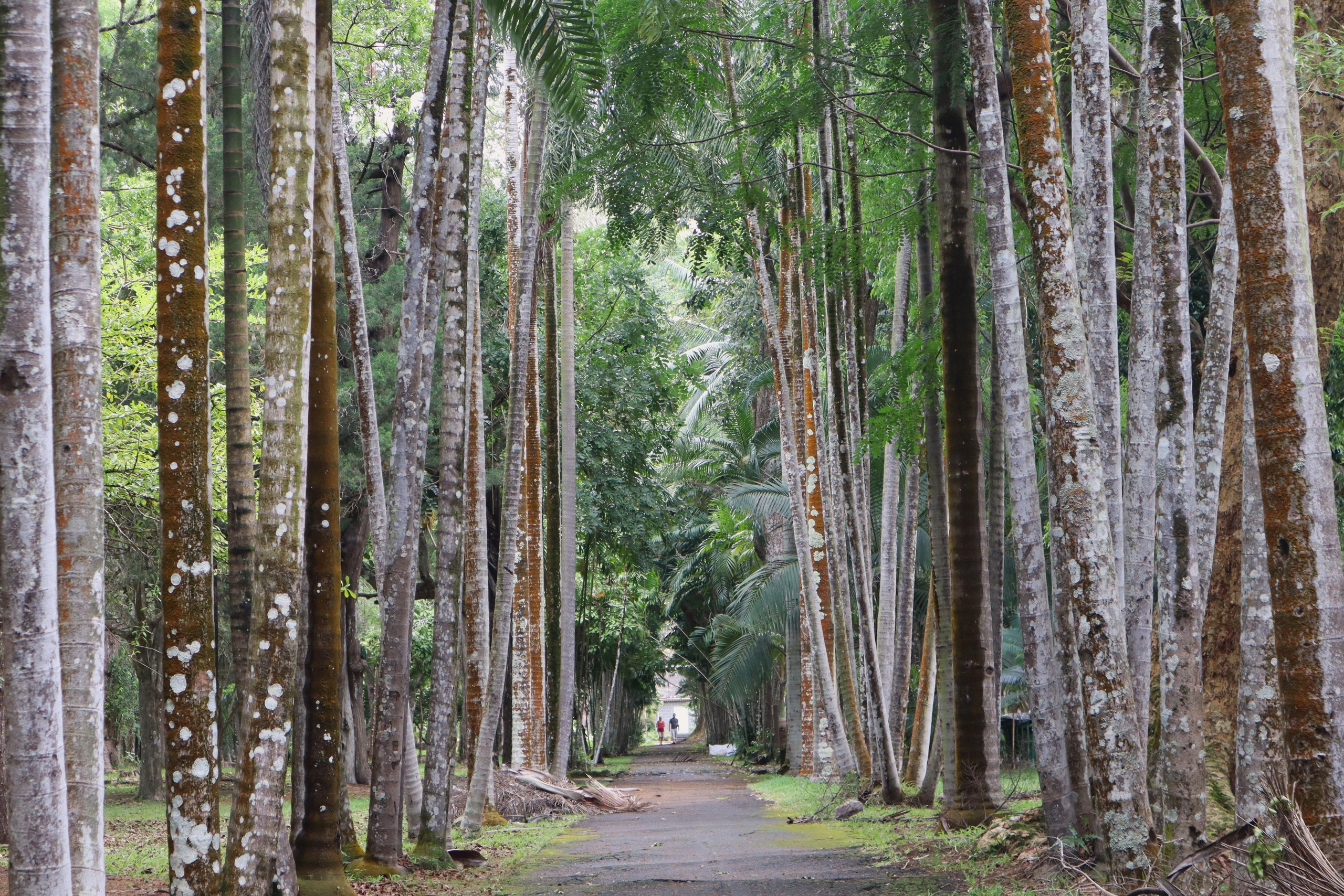 Travel photographer Ksenia