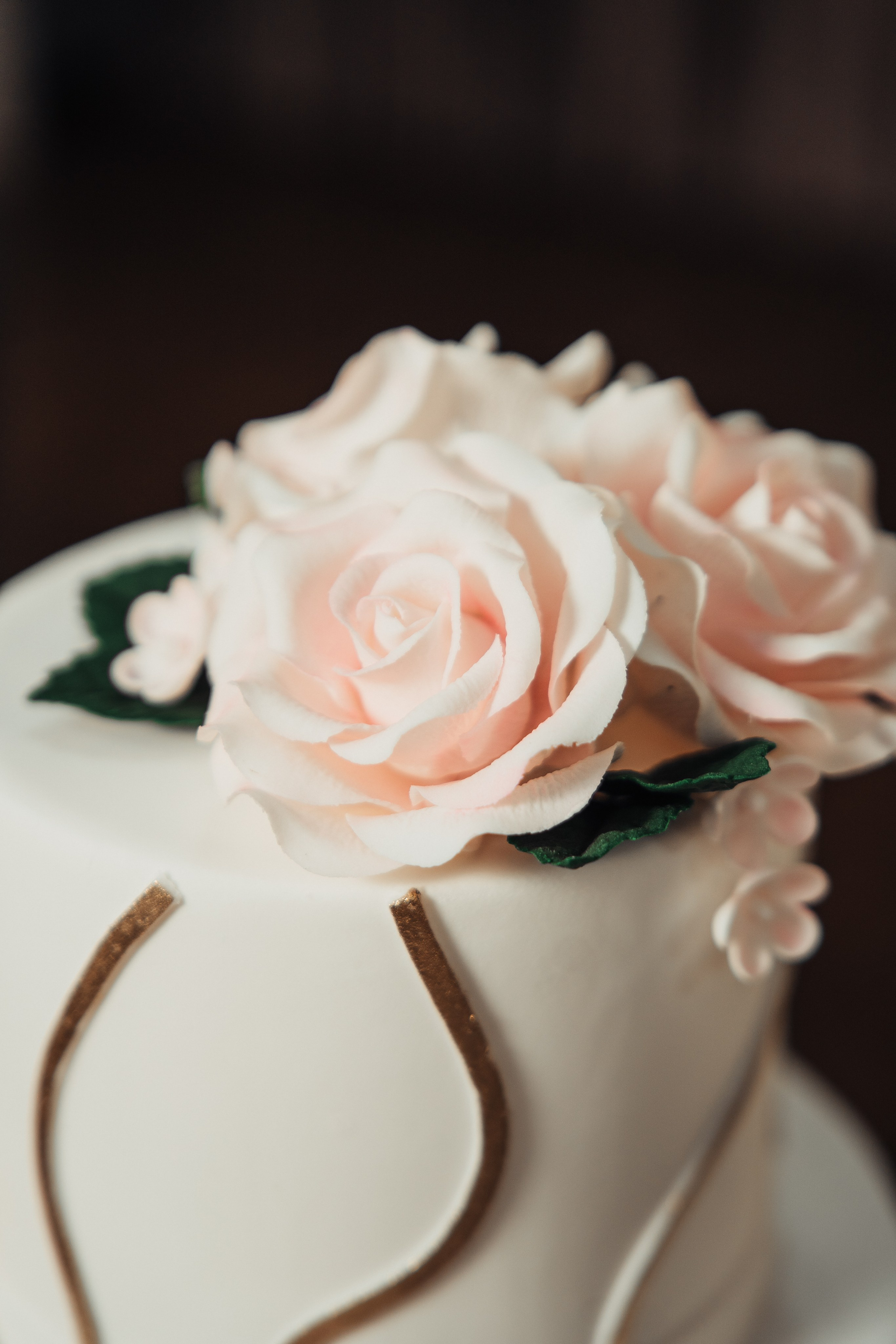 Владислав и Екатерина. PRIME STUDIO