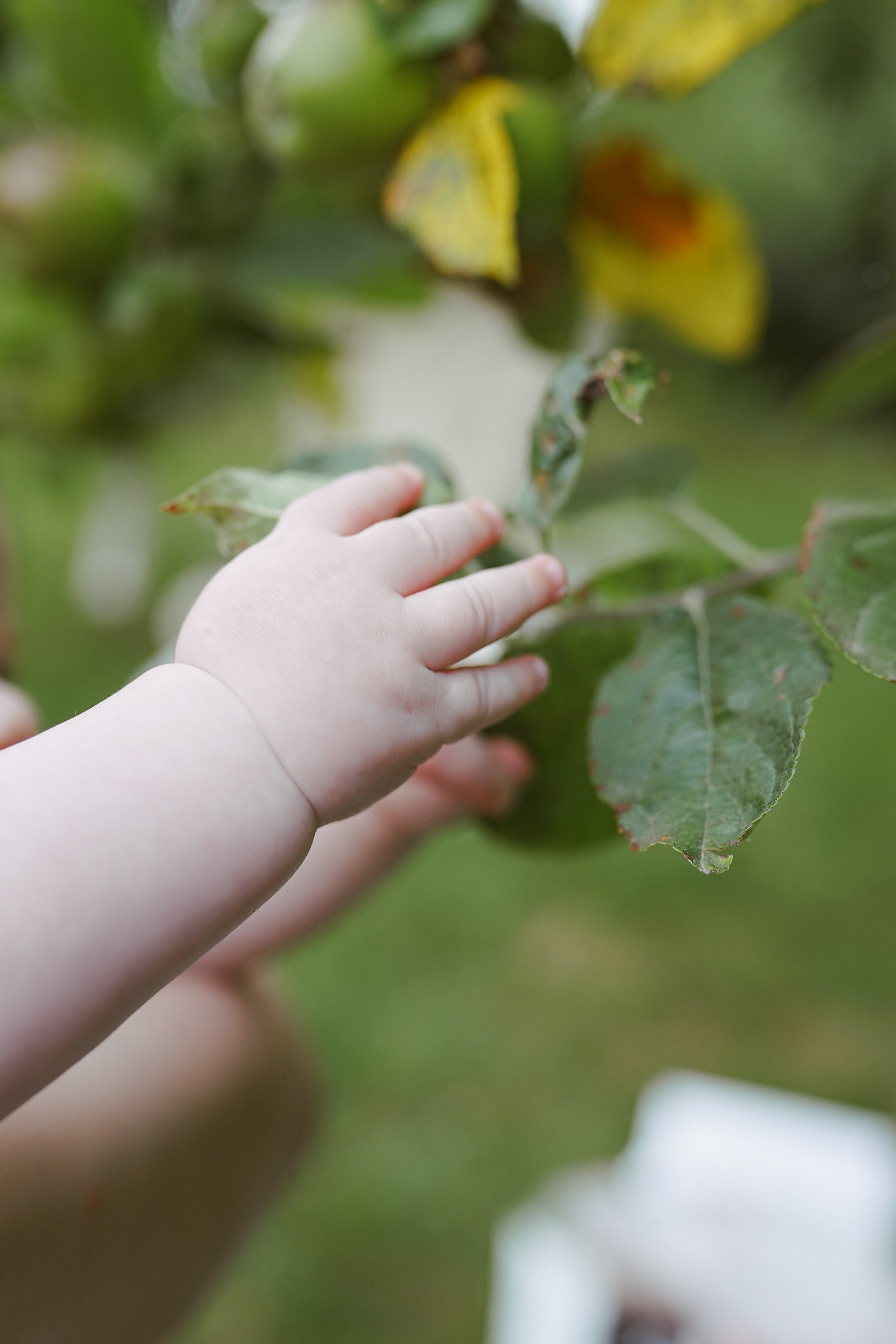 Fotografie de Eveniment Brașov: Povești Vizuale | Mădălina Beda. Madalina Beda- Artist vizual, fotograf, doula la nastere, consultant babywearing Brasov si in toata tara