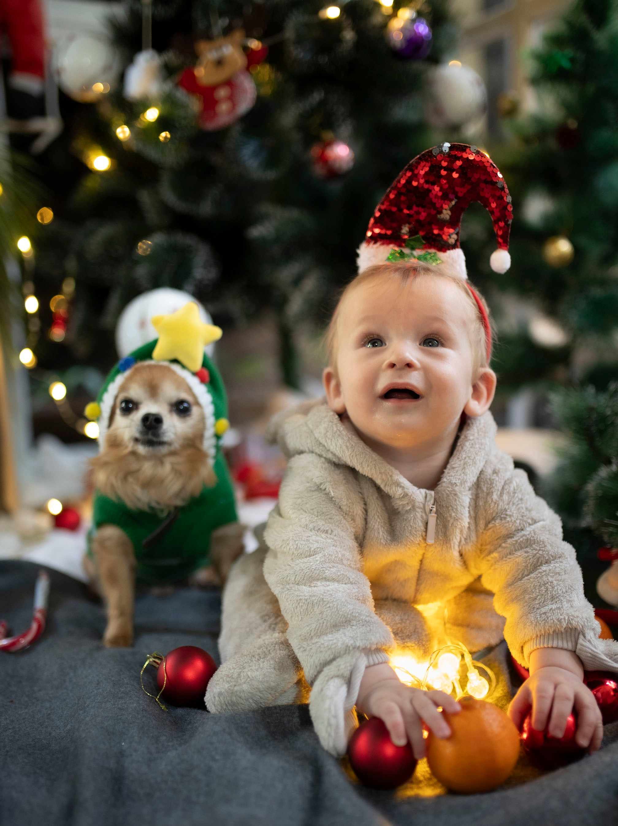 Christmas in Kindergarten. KATY GOLD PHOTOGRAPHY