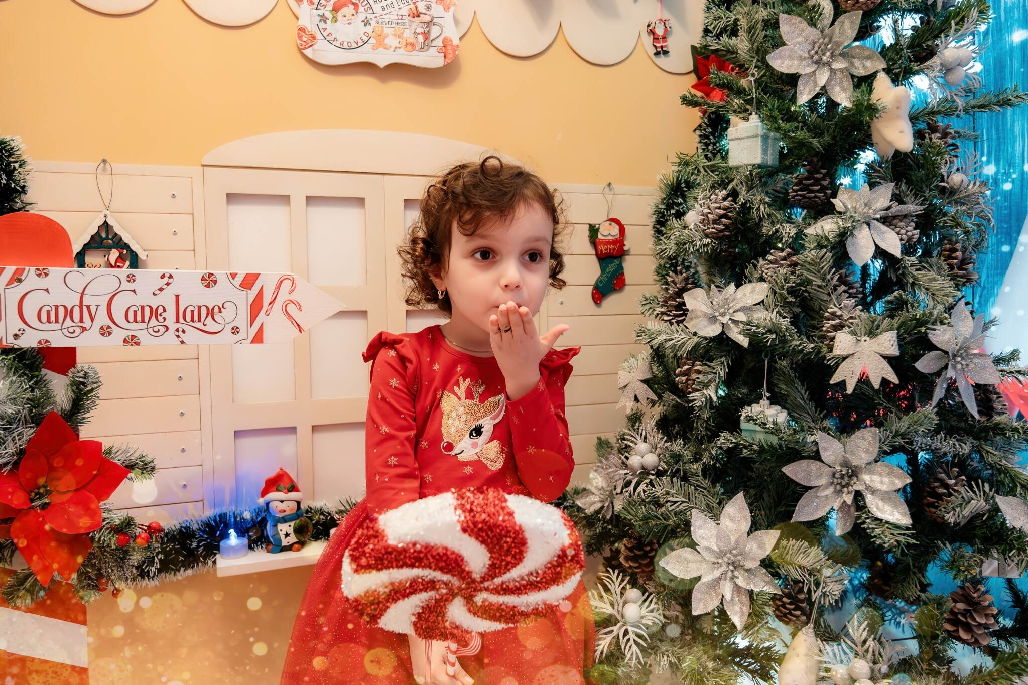 Sedinta Craciun Tanya