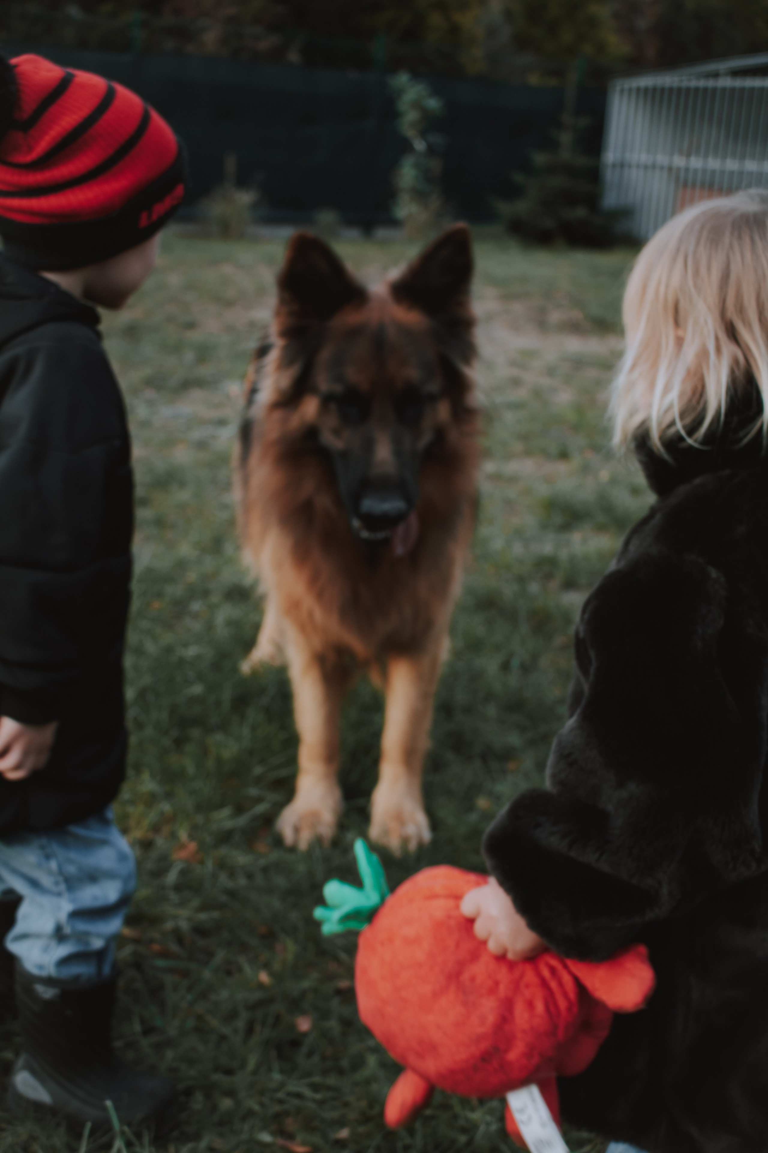 Sesje dziecięce. Ania Smol Fotograf Olsztyn
