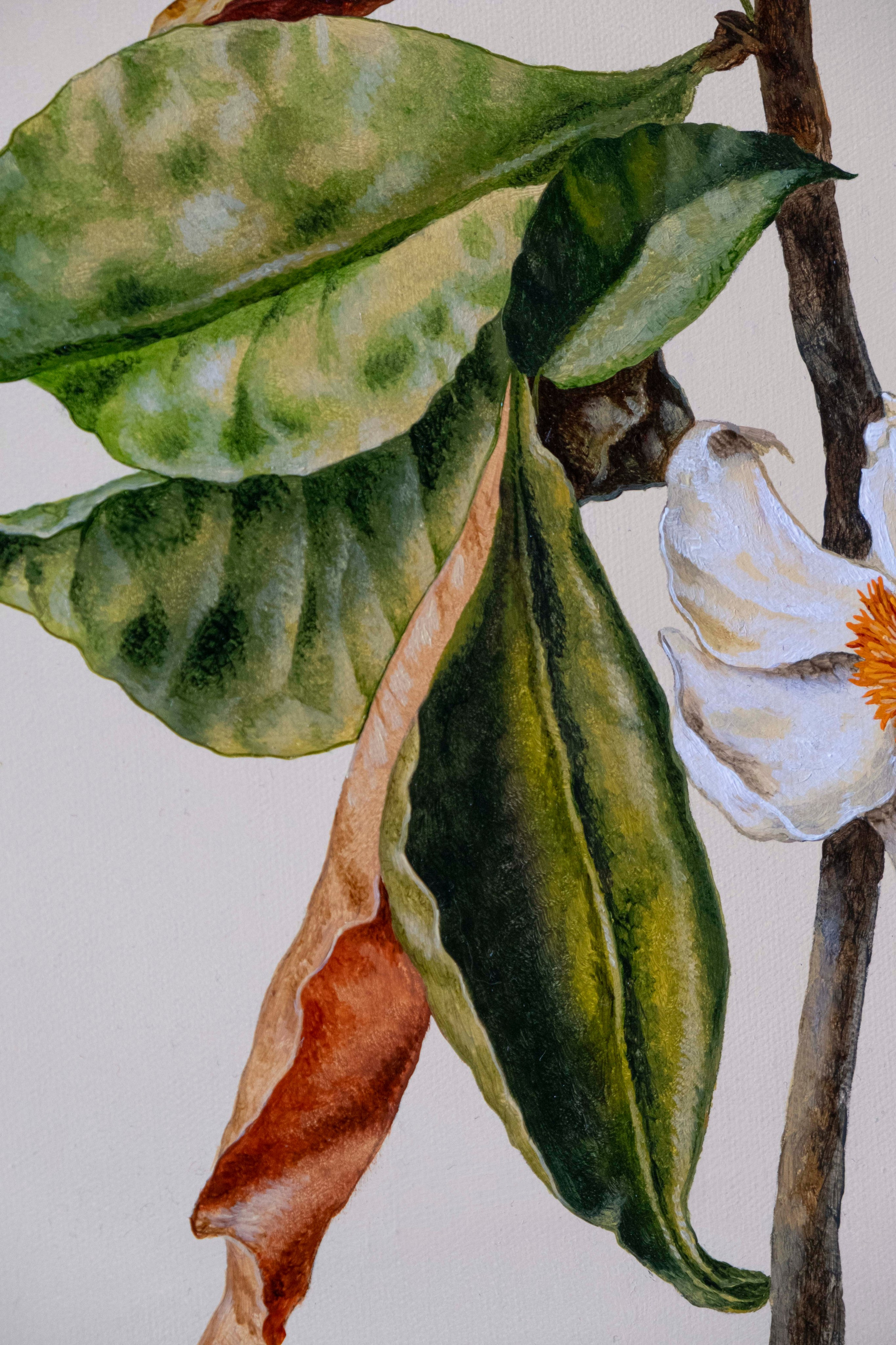 Botanical Etude No. 8. ELEN BEZHEN