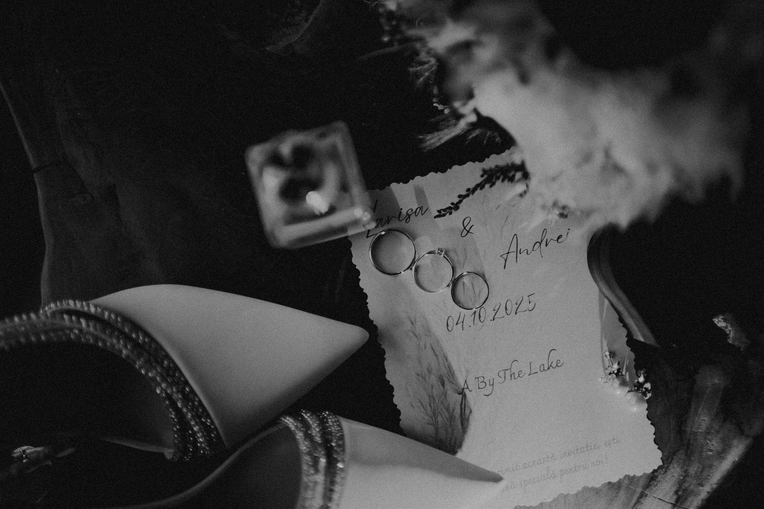 Nunta Larisa & Andrei. Events photographer Paul Dafina