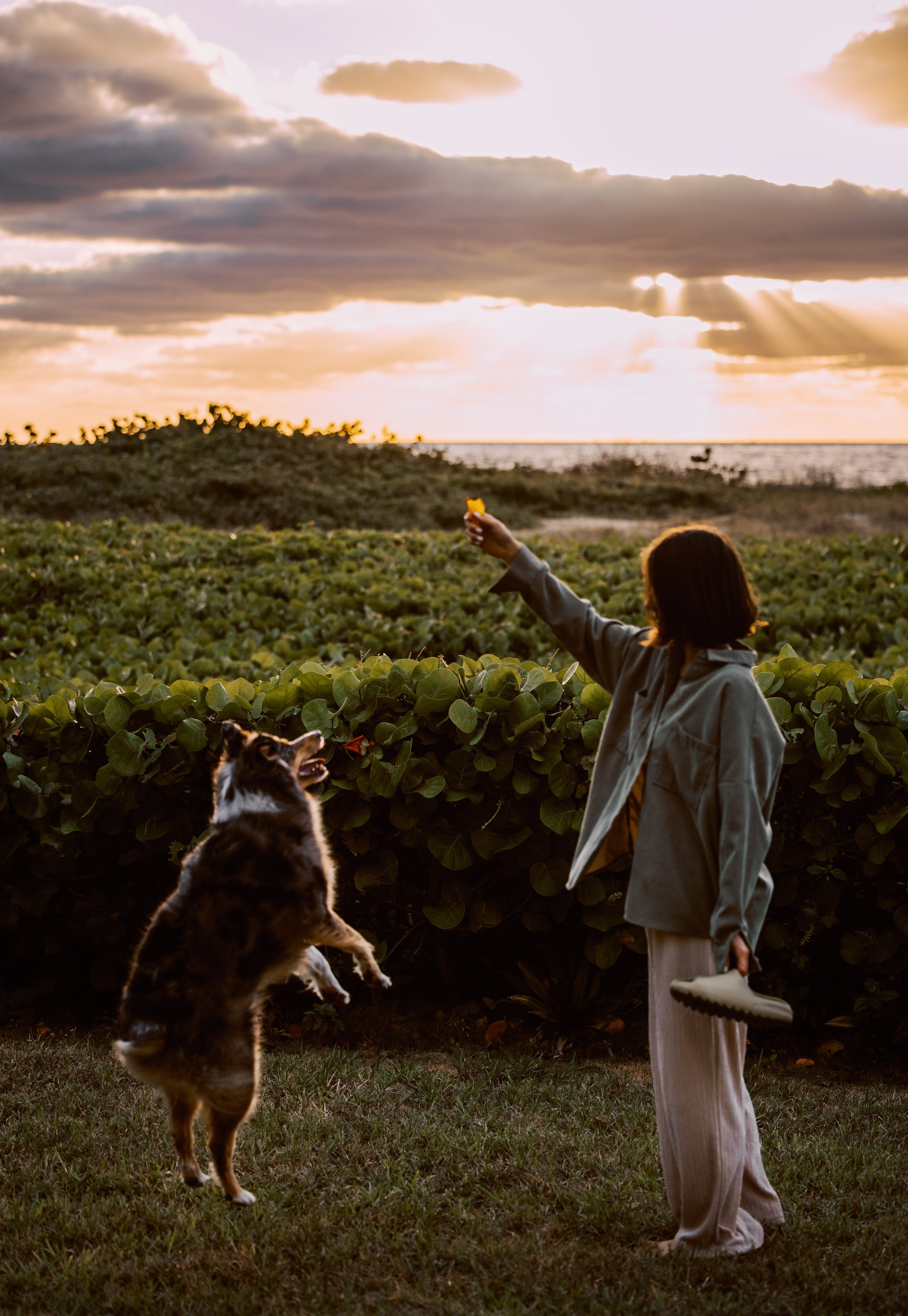 Lou & Eliya. Pet Photographer Viktoriya Aleshenko