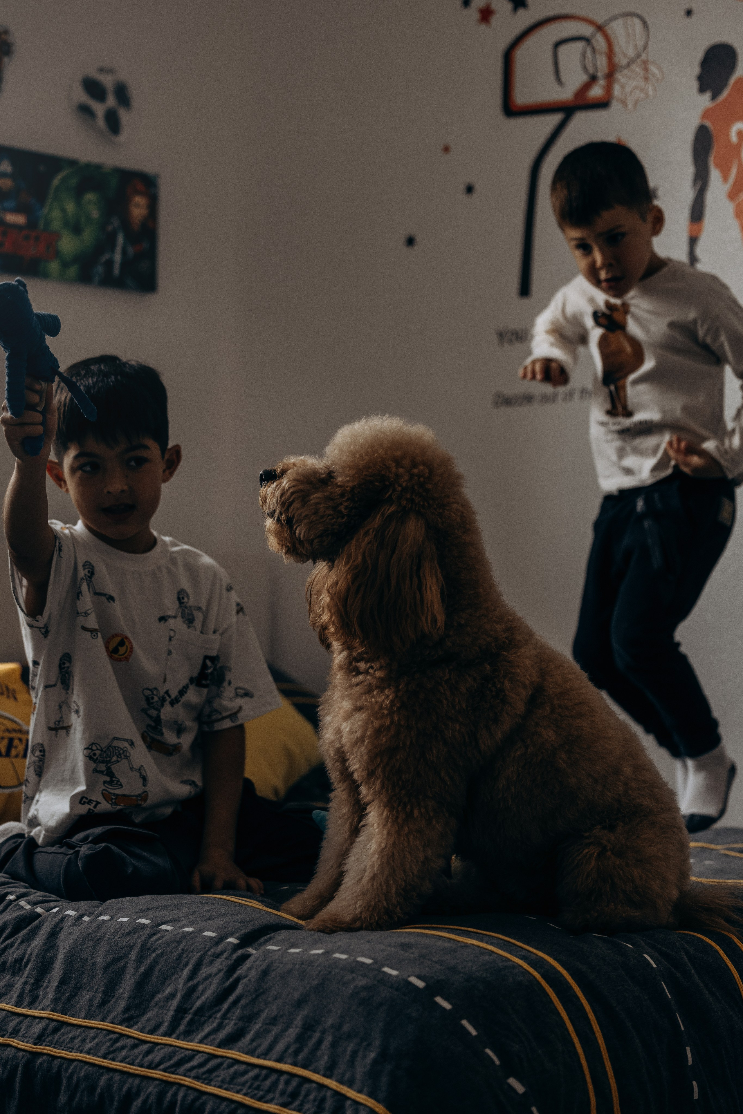 Richie & his Family. Pet Photographer Viktoriya Aleshenko