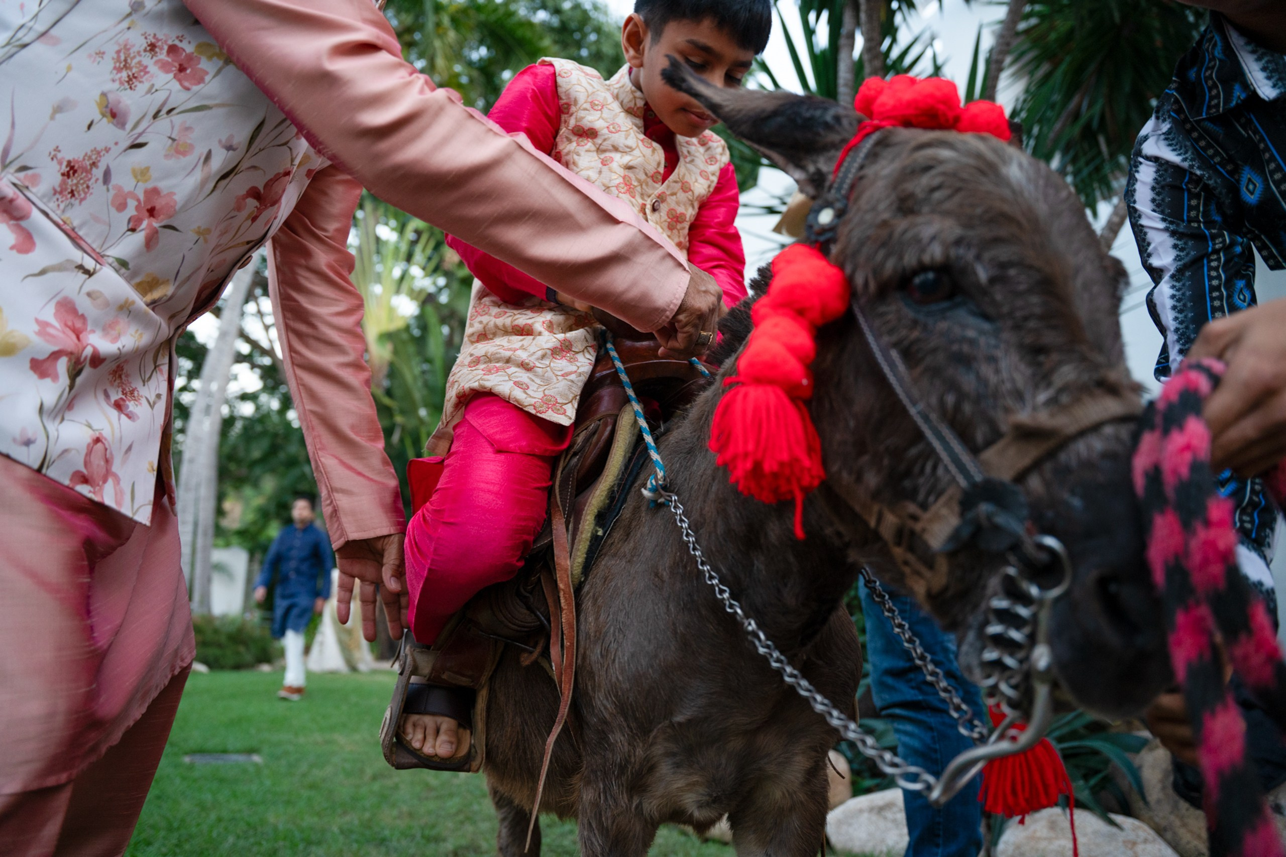 Rachi & Arjun. Elopement & Lifestyle Wedding Photographer