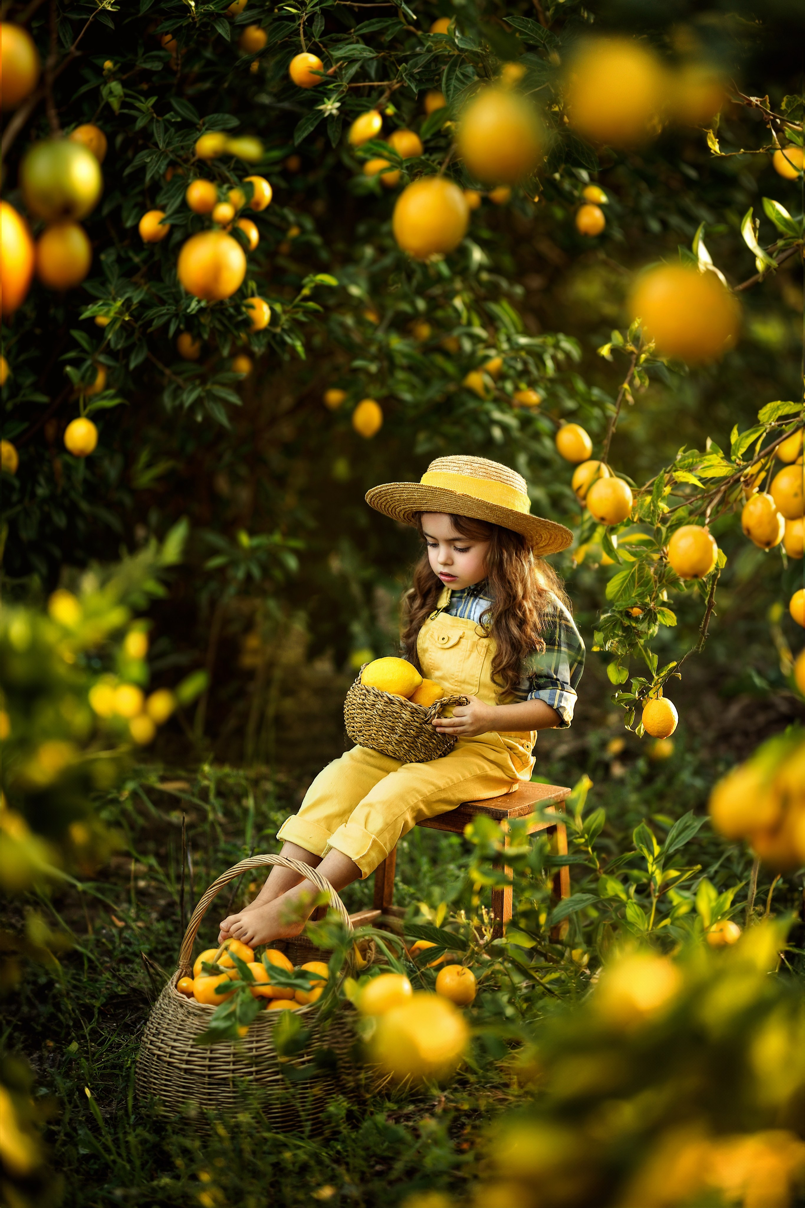 Фотосессия в лимонах. Фотограф в Турции, Анталии, Кемере, Белеке, Сиде, Каше, Калкане, Фетхие