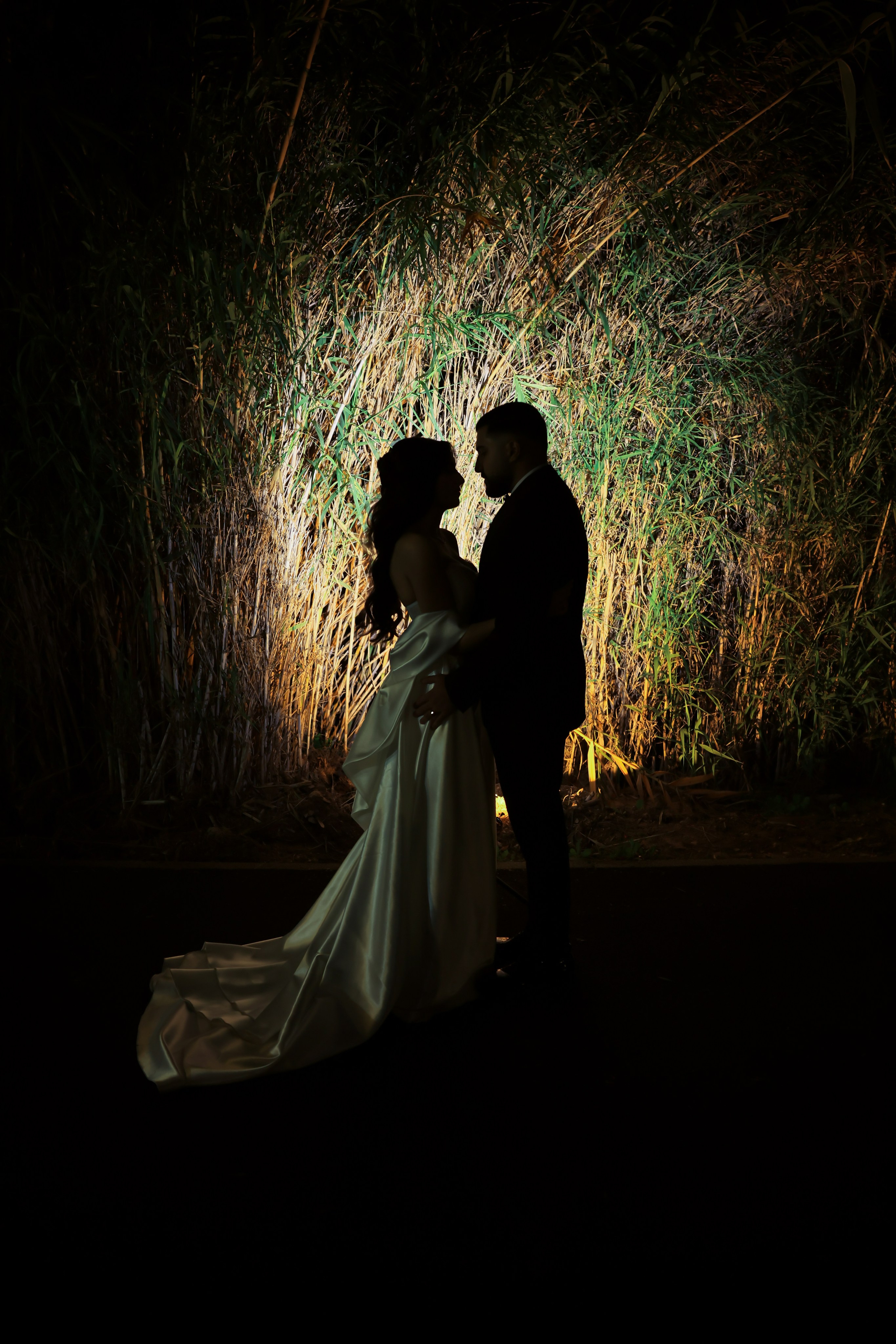 Michelle & Adir. סטודיו לצילום אירועים