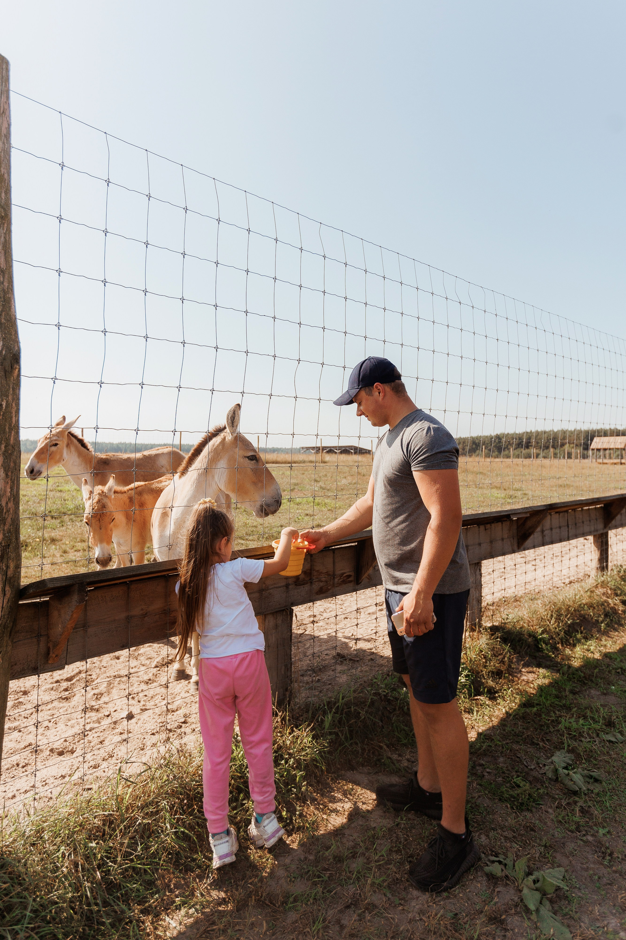 Екопарк Аміла. Ірина Терещук