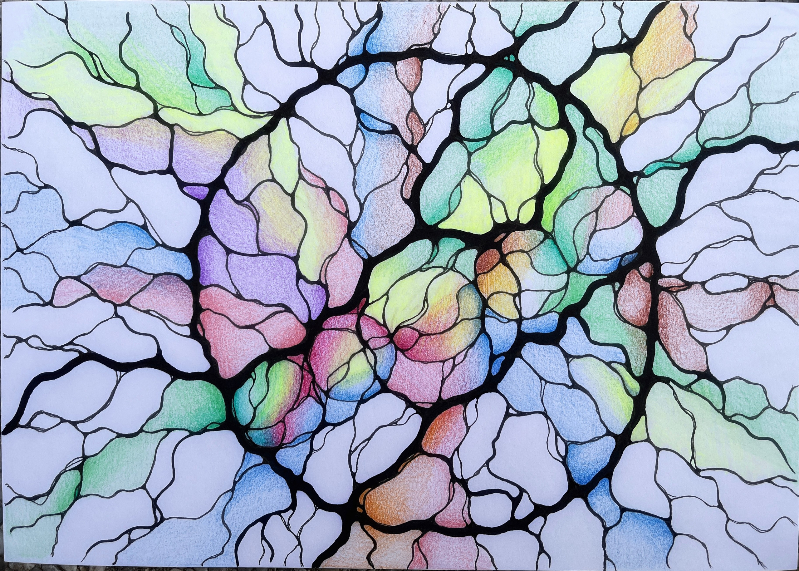 Moje slike. Numerologija. Nevrografika. Delavnice