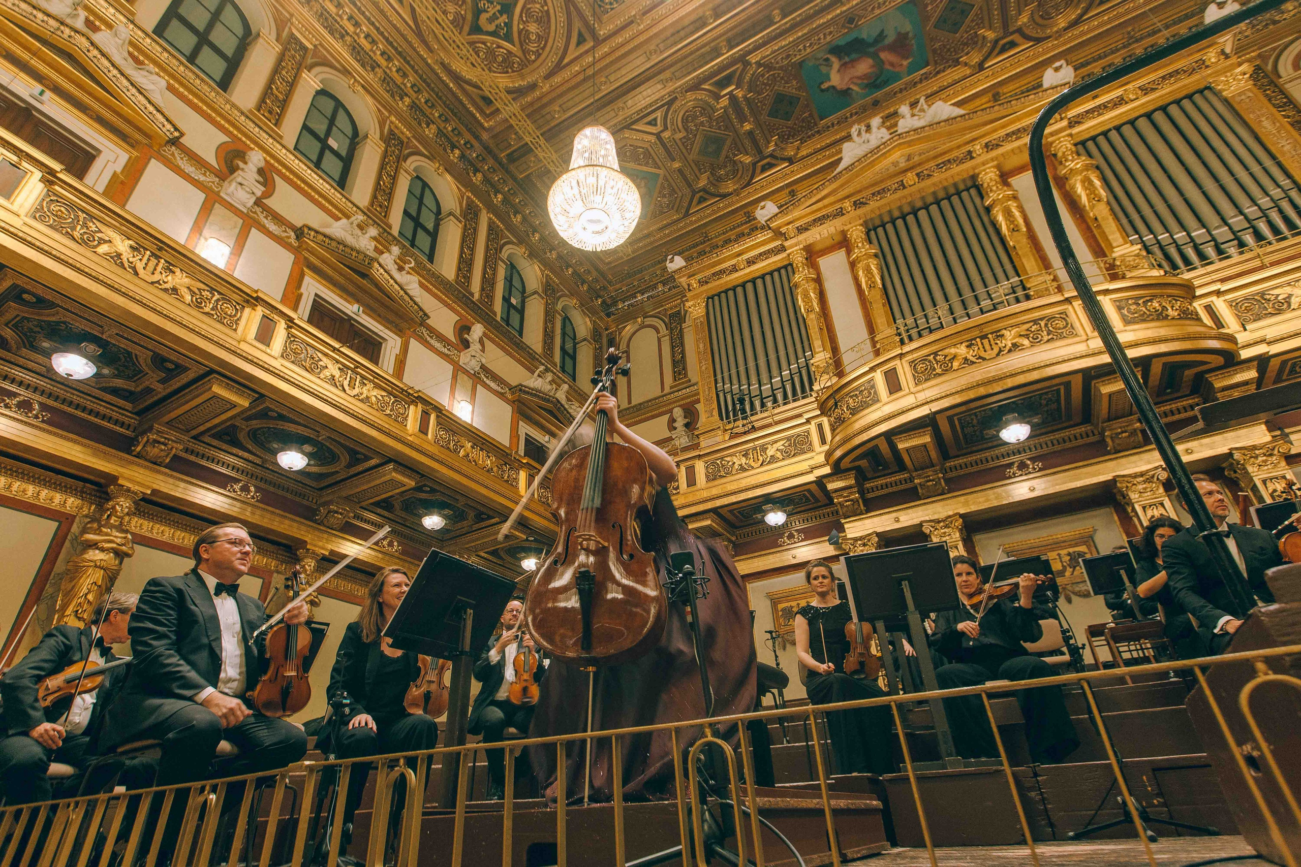 MUSIKVEREIN (VIENNA). Wedding&Event photographer Ismail Rzayev in Baku