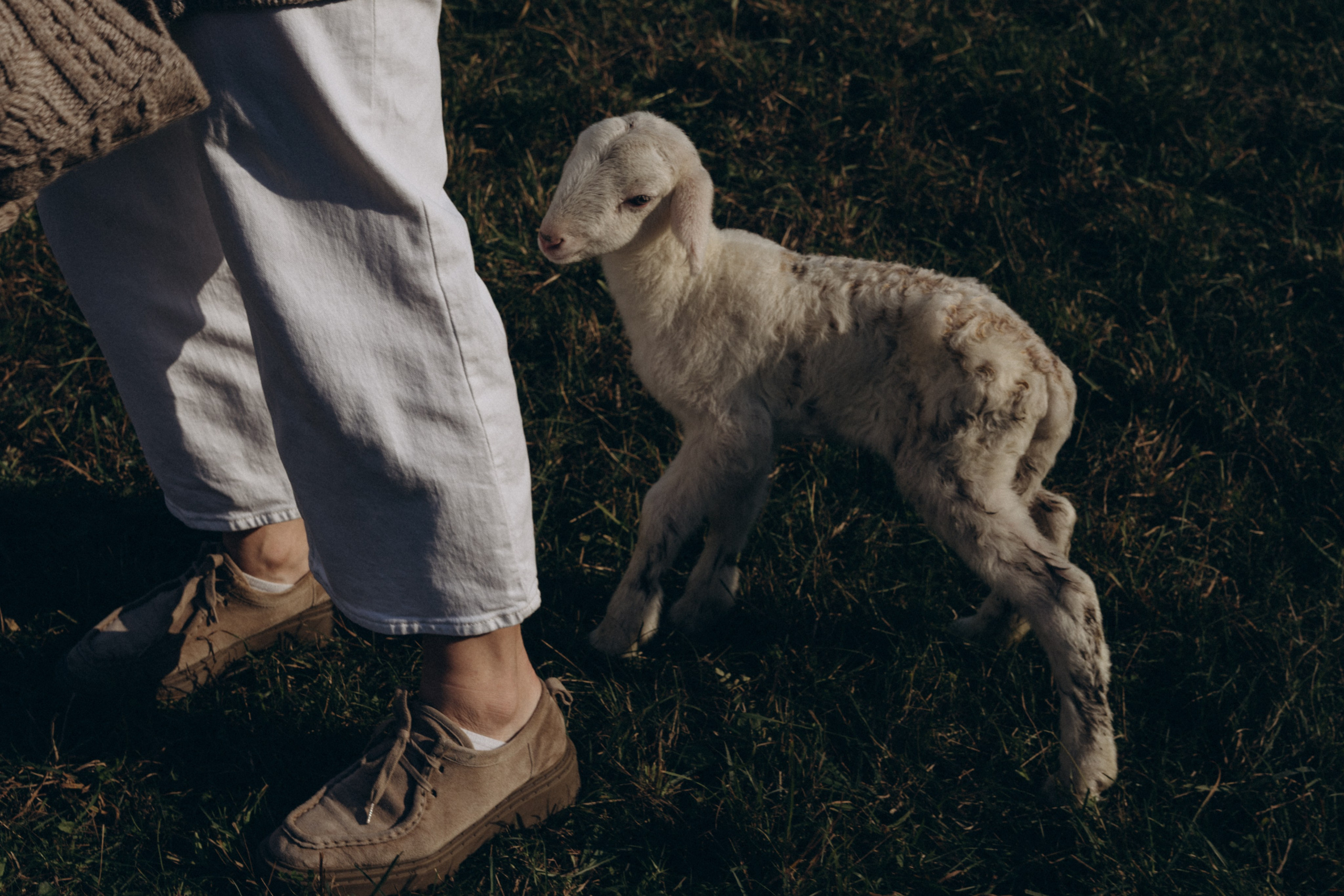 EGENIA. PHOTOGRAPHER IN ITALY