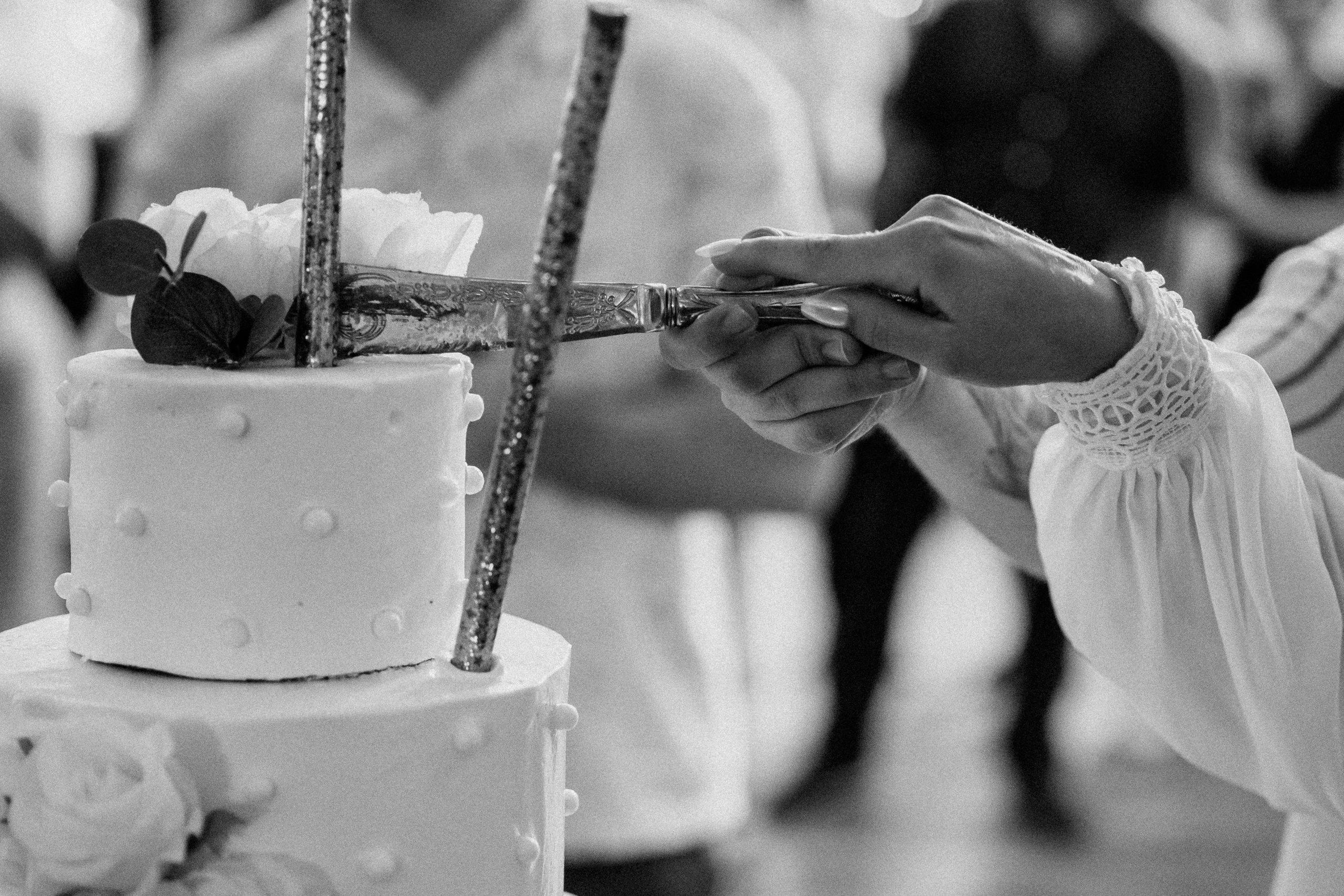 Nuntă în aer liber Ana Event Garden - Fotograf Nuntă. Horatiu Fat: Fotograf si Videograf Profesionist Nunta Cluj-Napoca