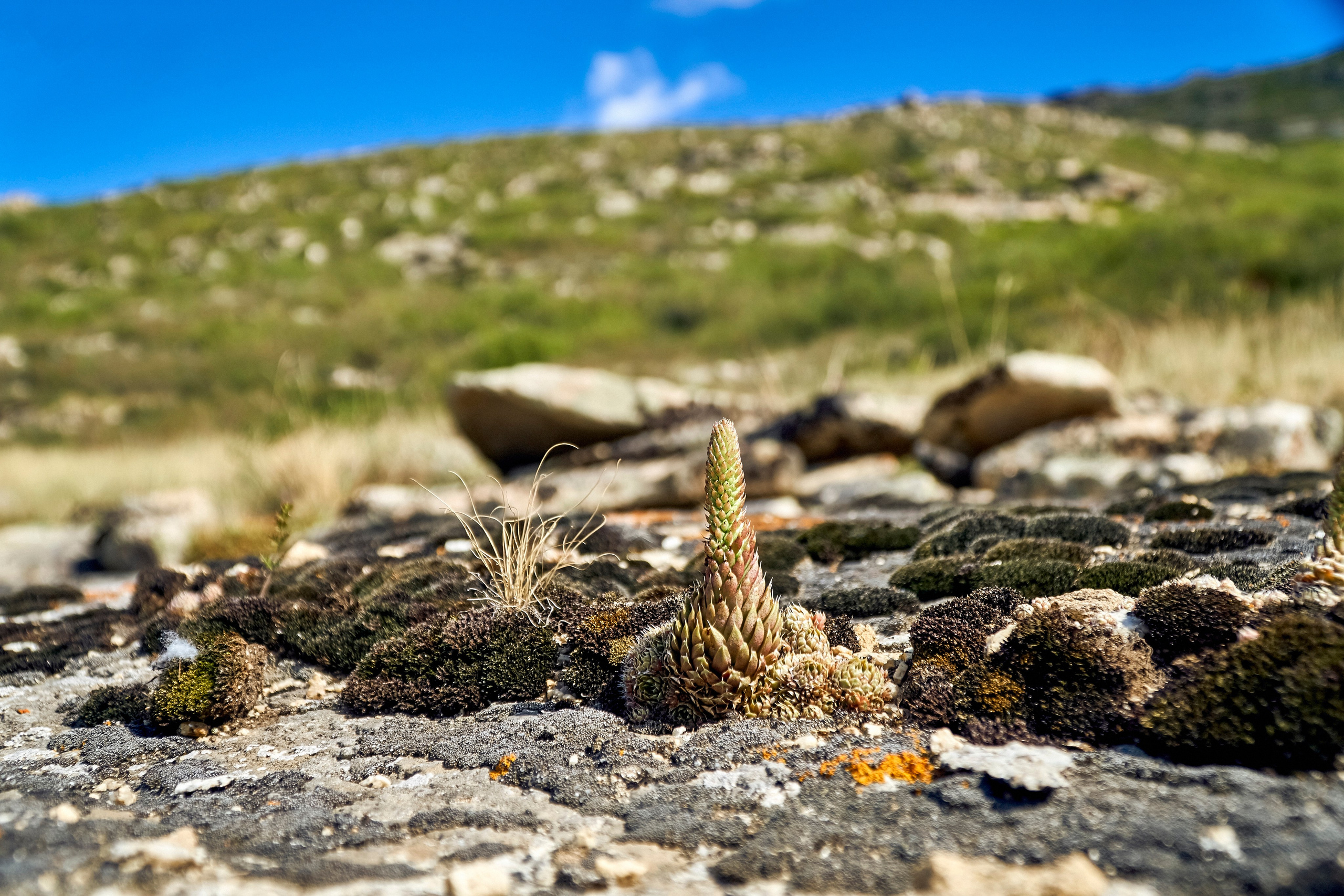 Monastyri (Kazachstan). Andriej Szypilow - Fotografia & Wideografia