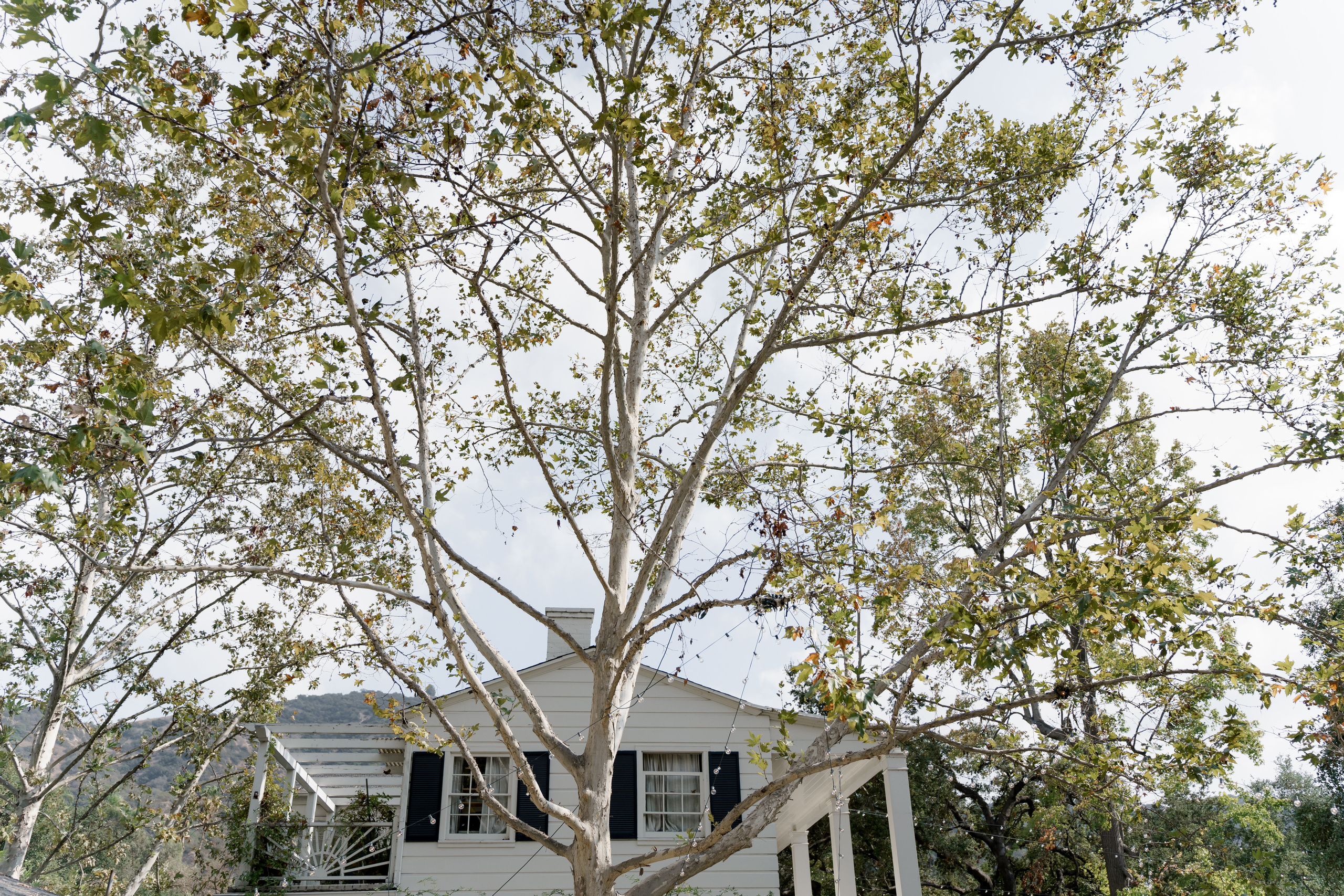 Anna and Joe’s Cozy Backyard Wedding with Jewish Traditions. Wedding photographer and videographer New York | New Jersey