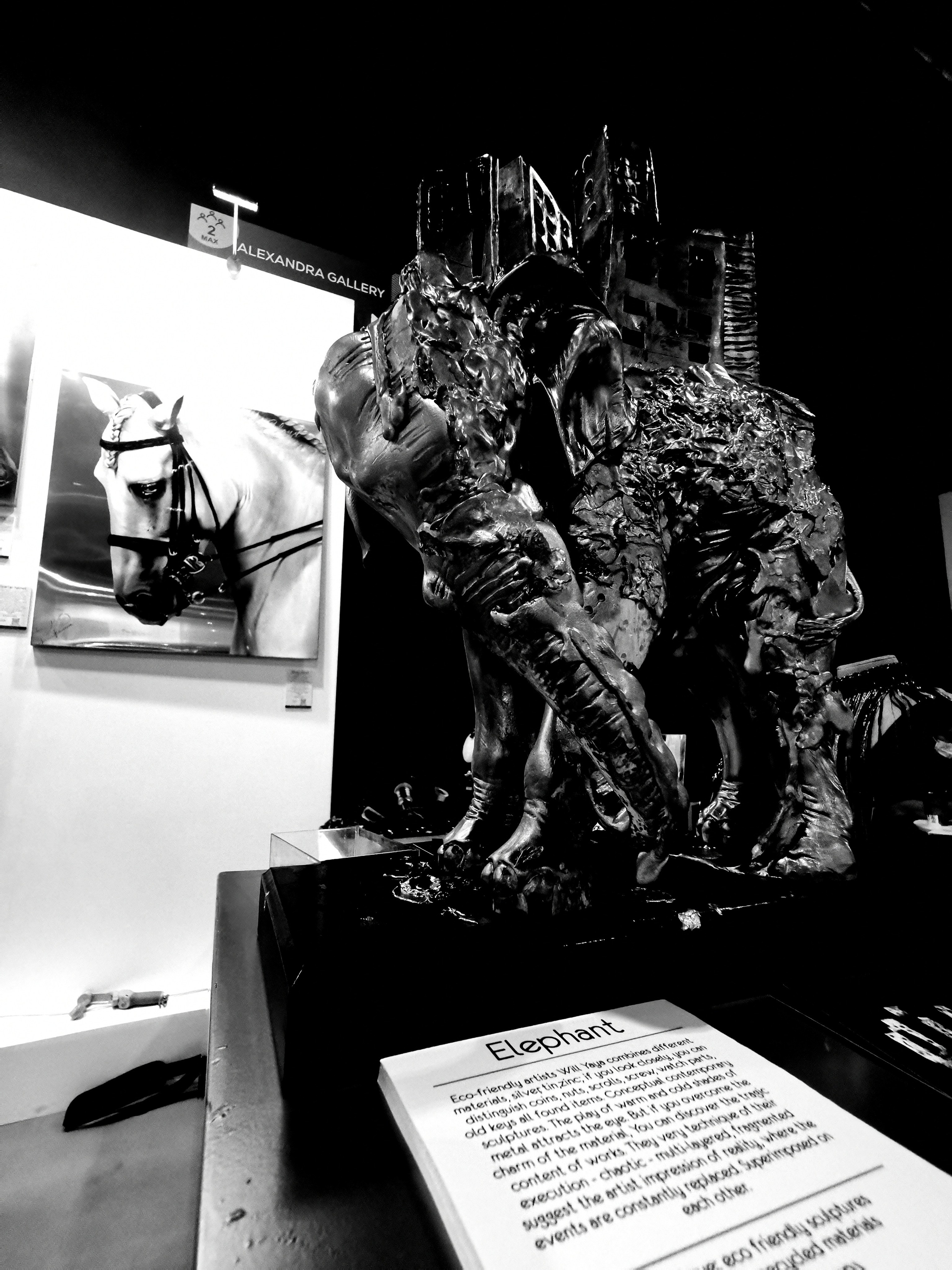 Impact Photo Collecton. Professional Artist, teacher of art, Artistic Photographer In Dubai (U