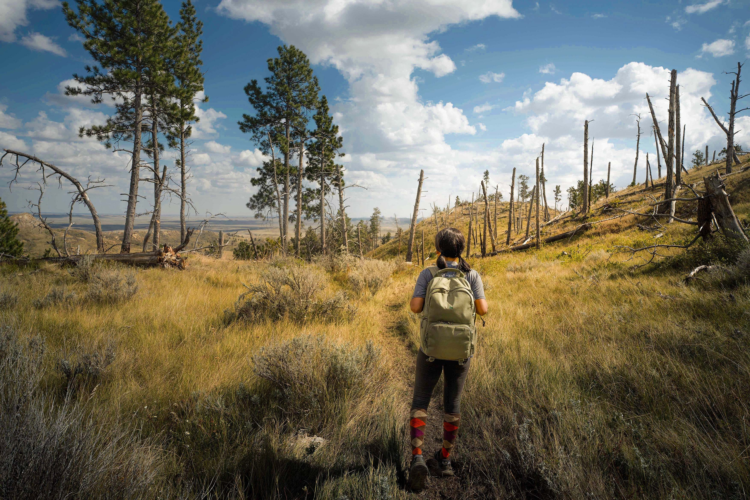 Montana. Beena Films