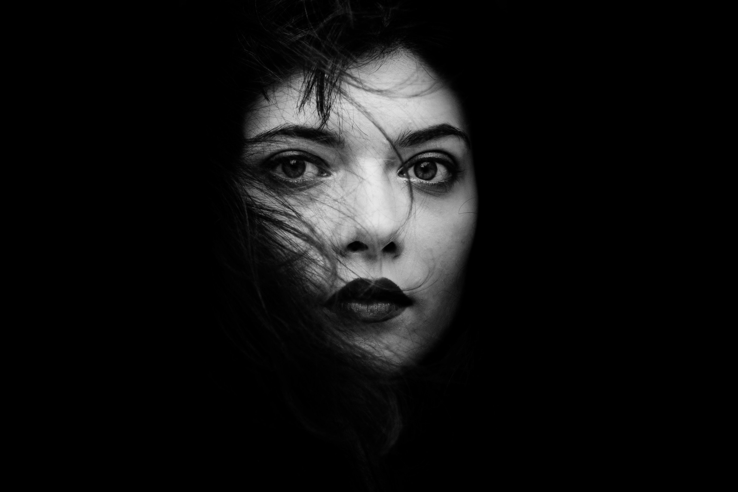 Alice. Hornetart