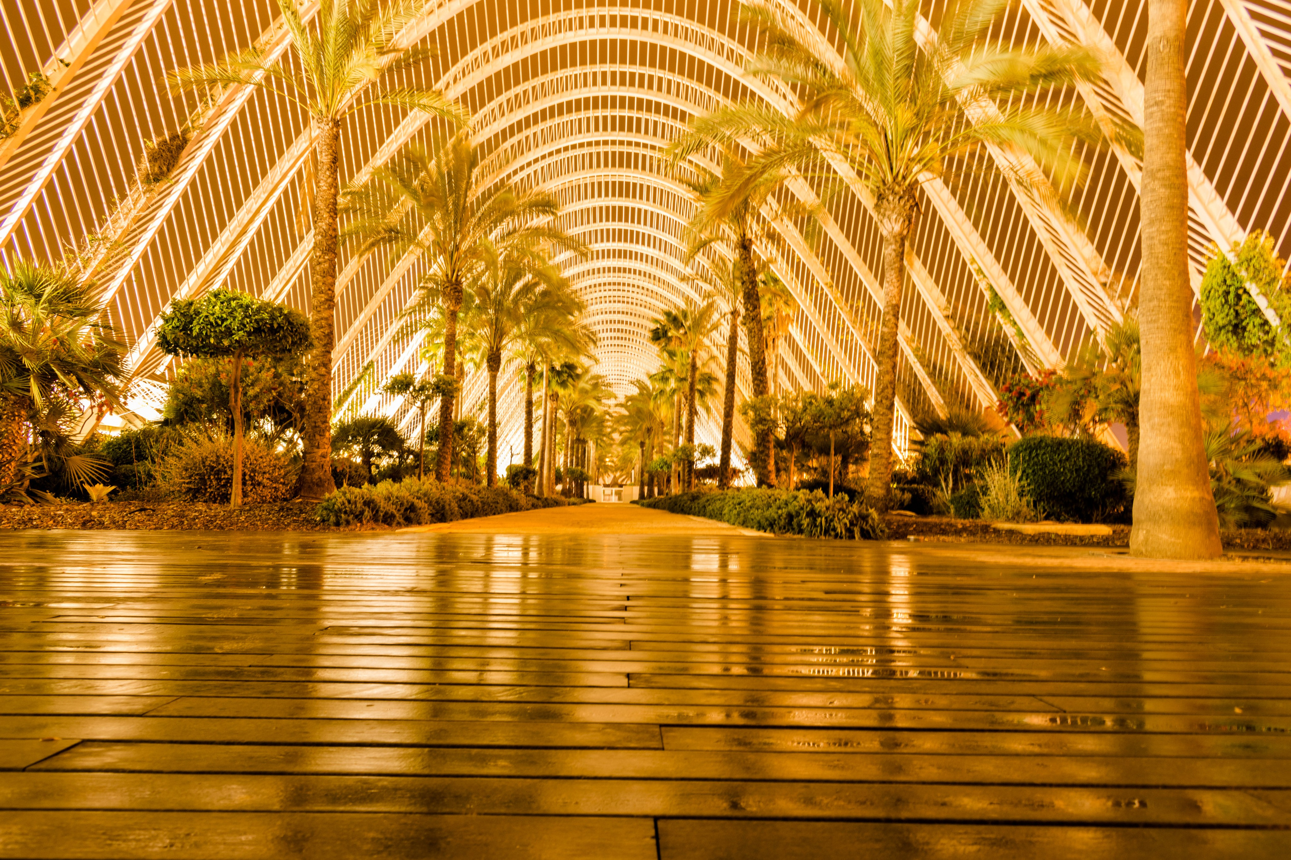 Fotografie urbana. Daniel Criste Fotograf