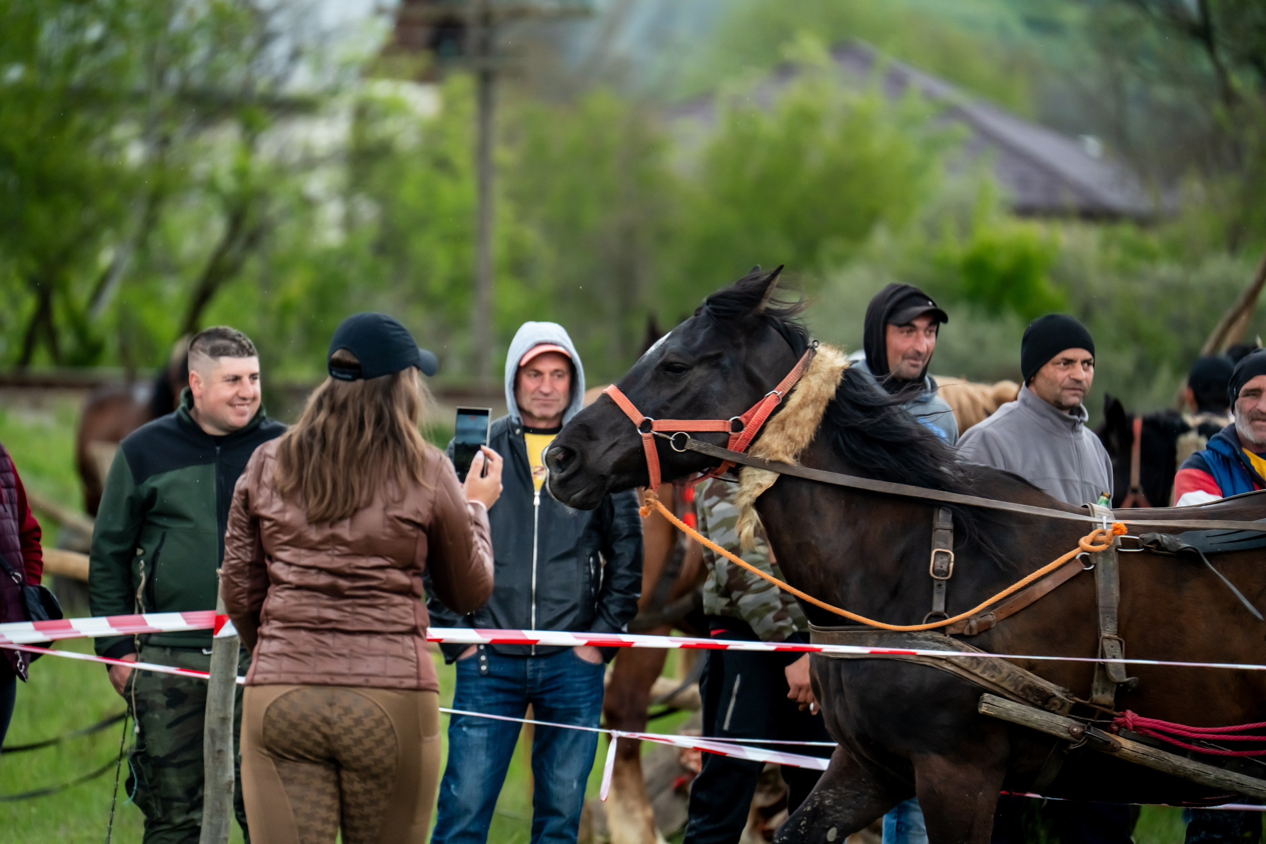 Concurs Ecvestru Vărbilău ediția a 4-a. Mihai Alexandra Events