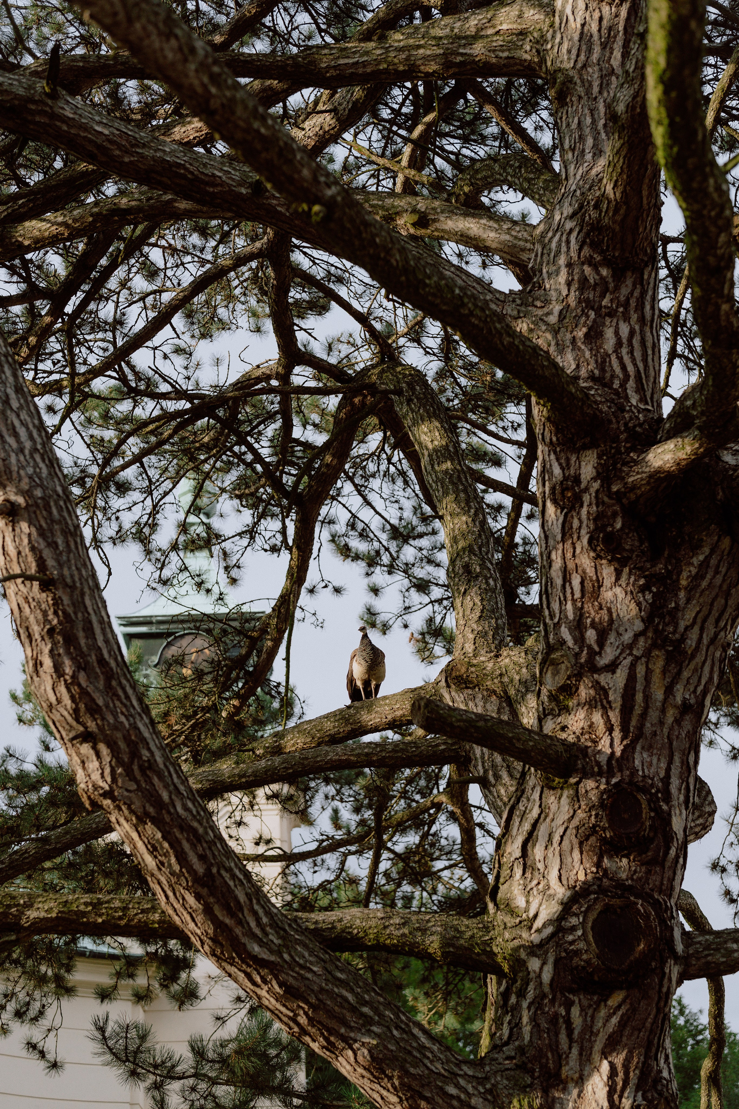 Wedding at Chateau Karlova Koruna