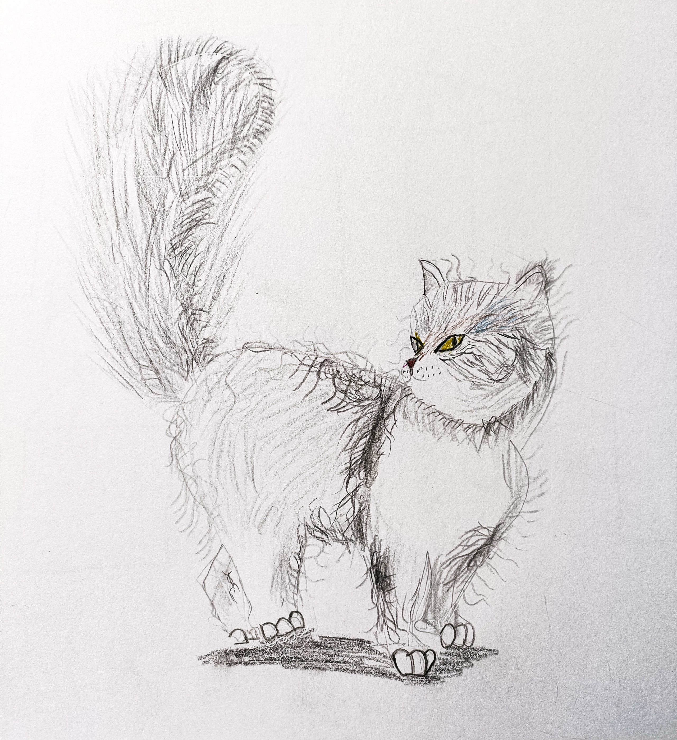 Katoshin Arseniy, 10 year old