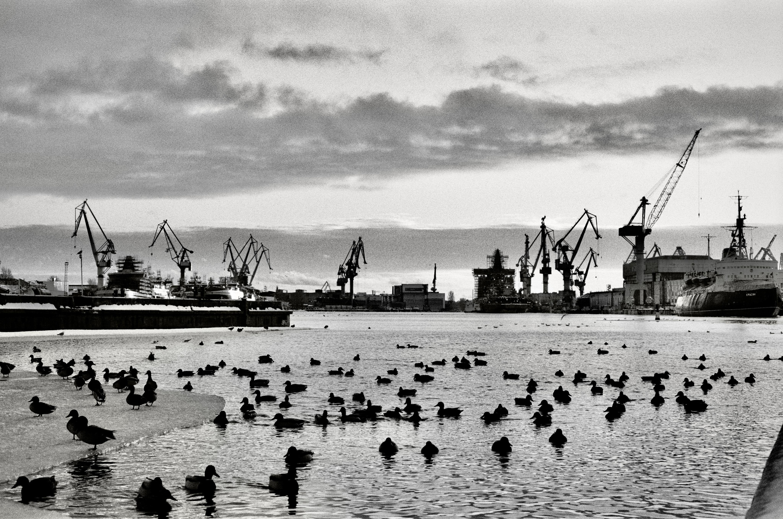 Набережная Лейтенанта Шмидта