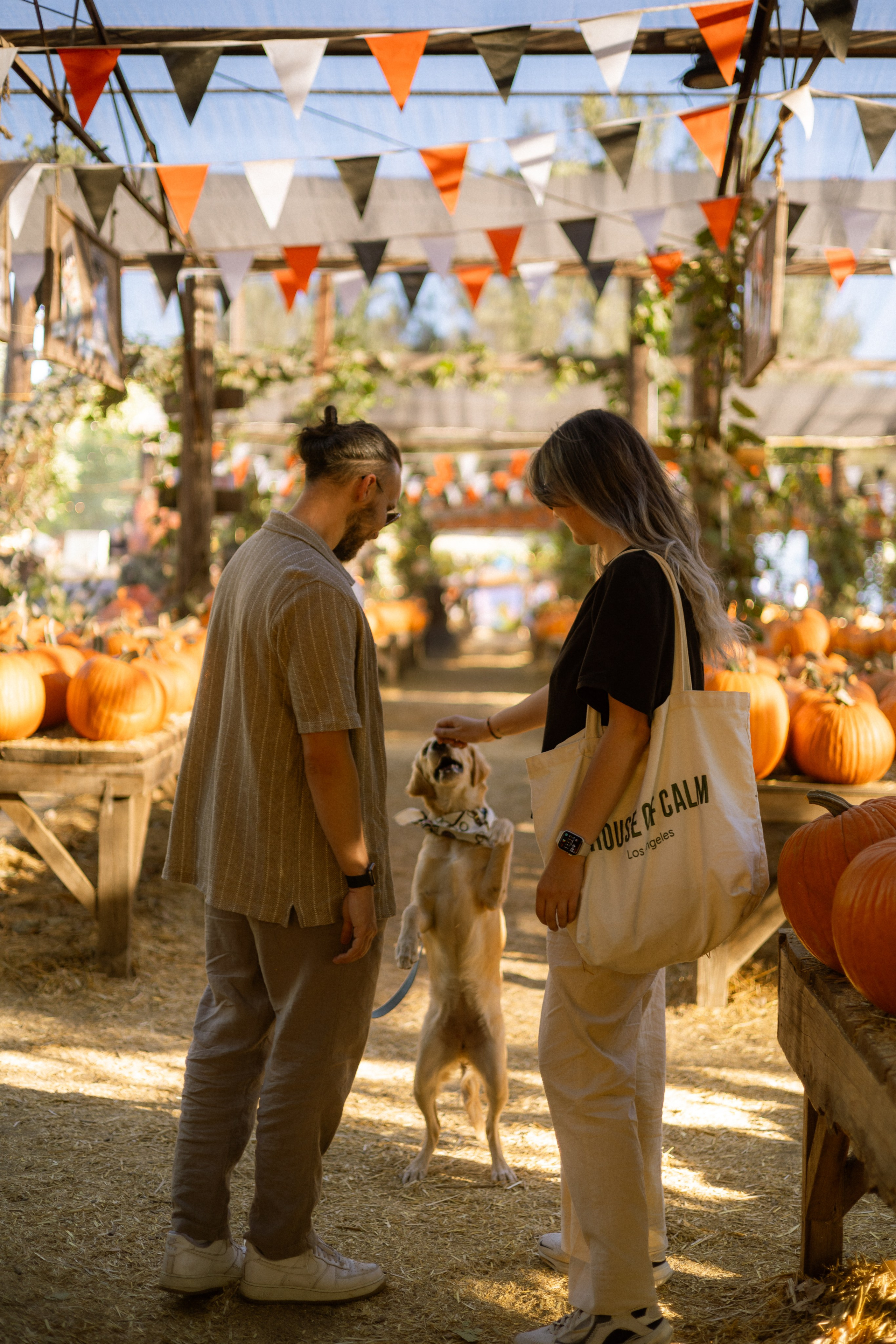 Julia, Sergey & Tessa at the Pumpkin Patch. Photographer in Los Angeles. Julia Ishmuratova