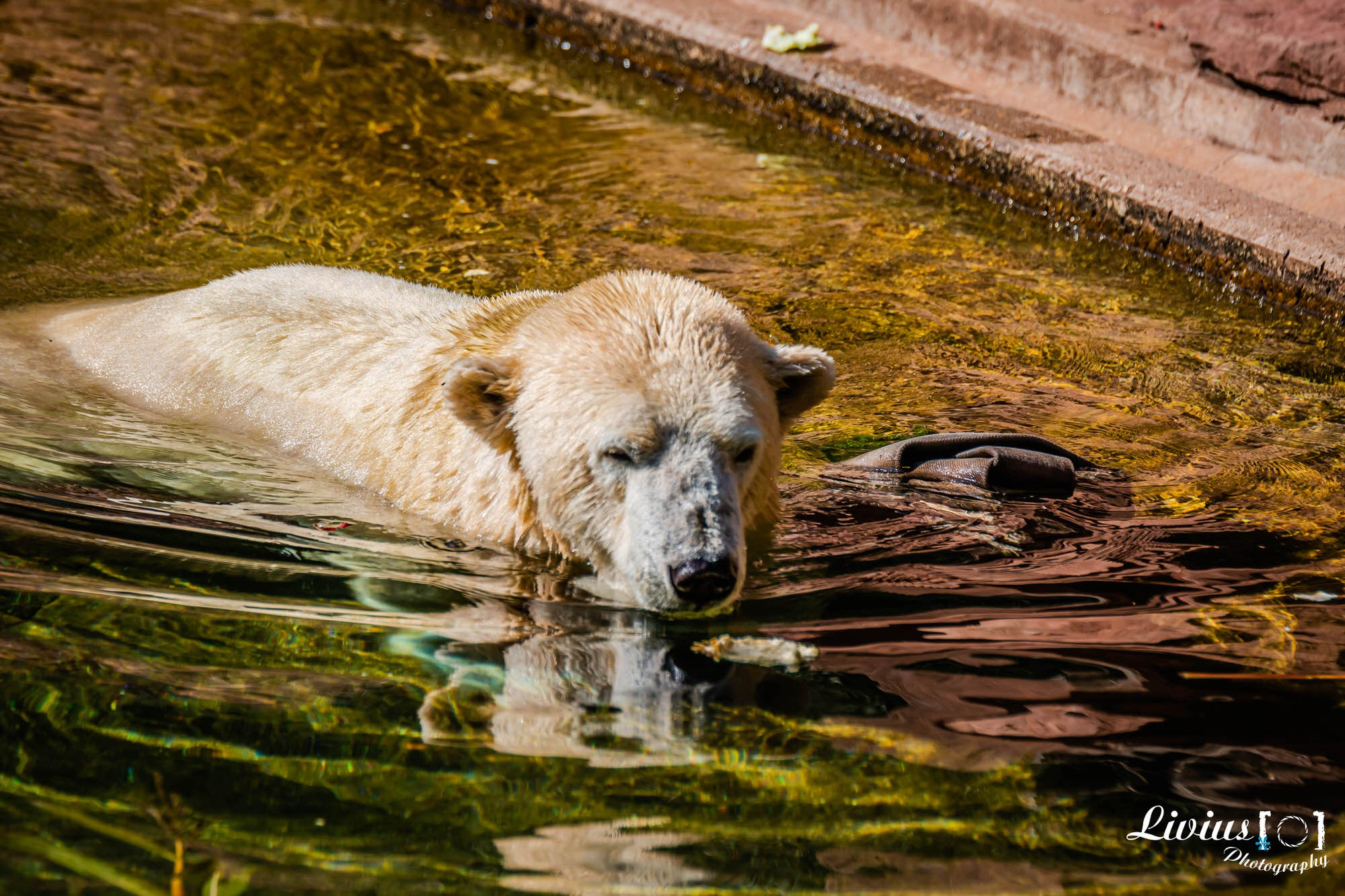 Tierpark Nürnberg. FOTO KREATIV