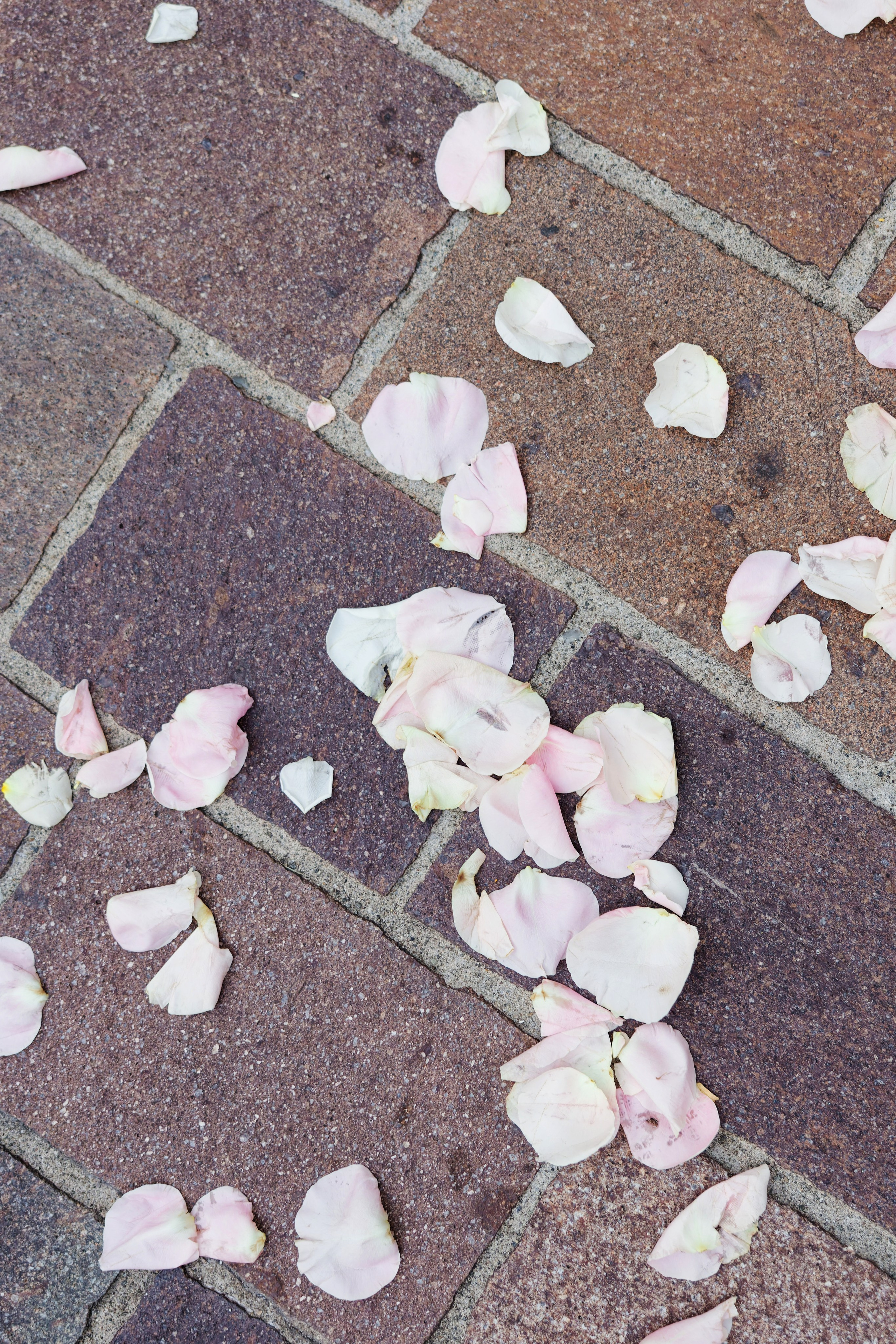 Wedding at Villa Carminati Resta on Lake Como