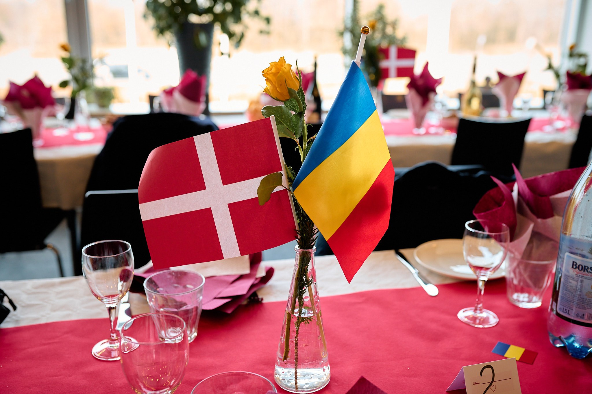 Ziua Femeii — 8 Martie 2025 — Aarhus. DanFotograf.dk