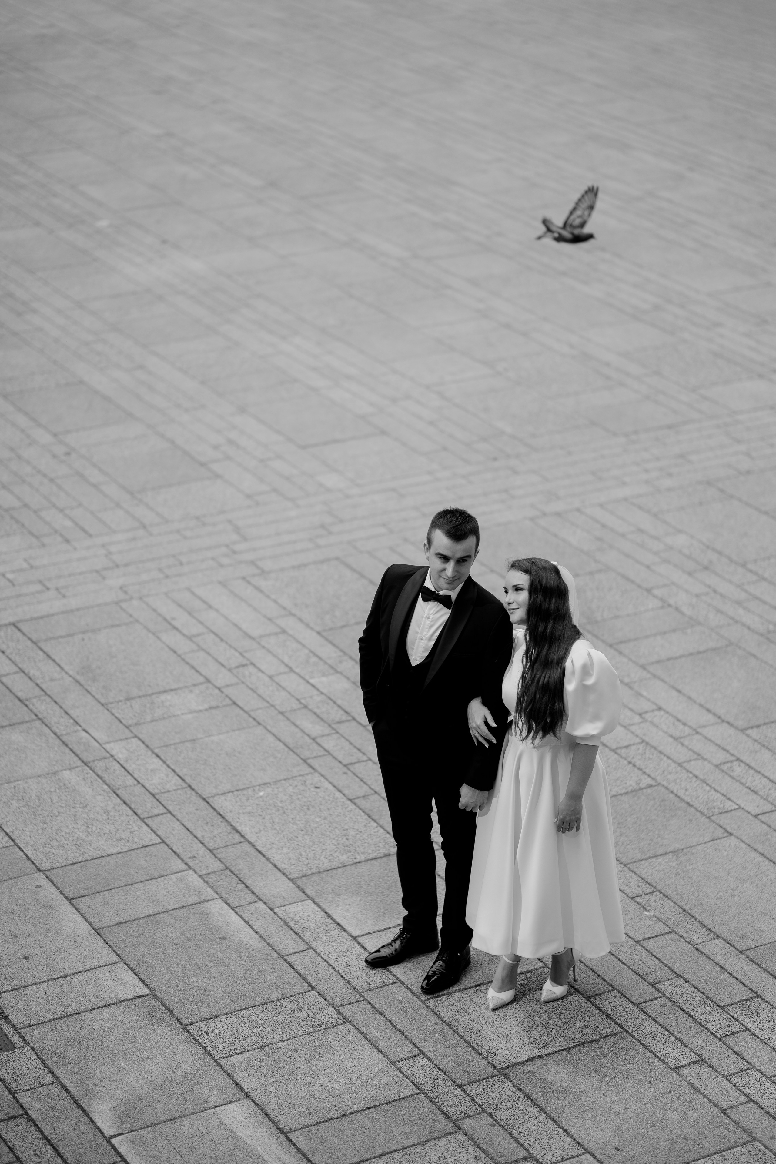 Stefan & Dorotea. NSJ — Wedding Studio