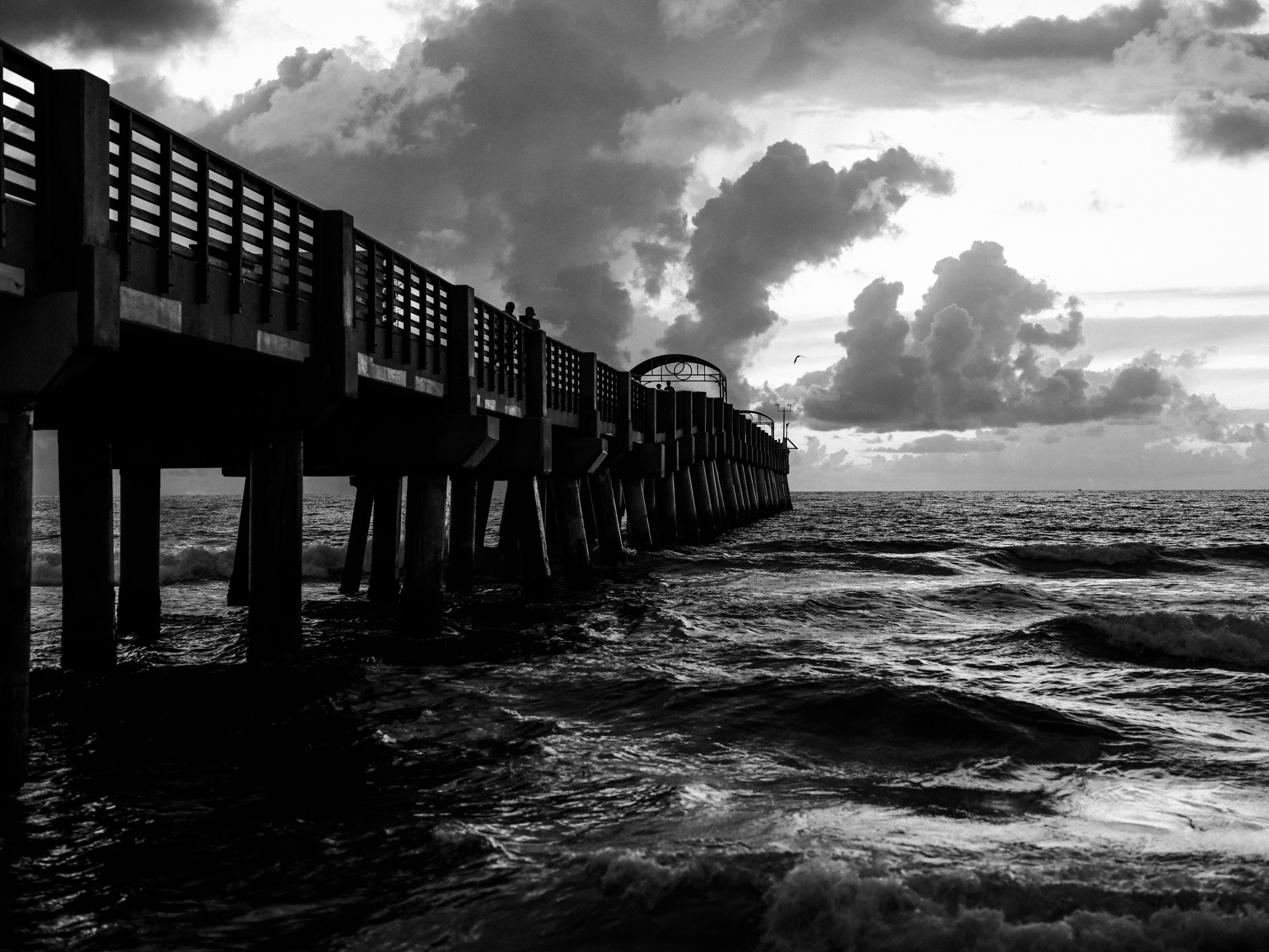 JADA AND RAZ. Florida destination wedding photographer