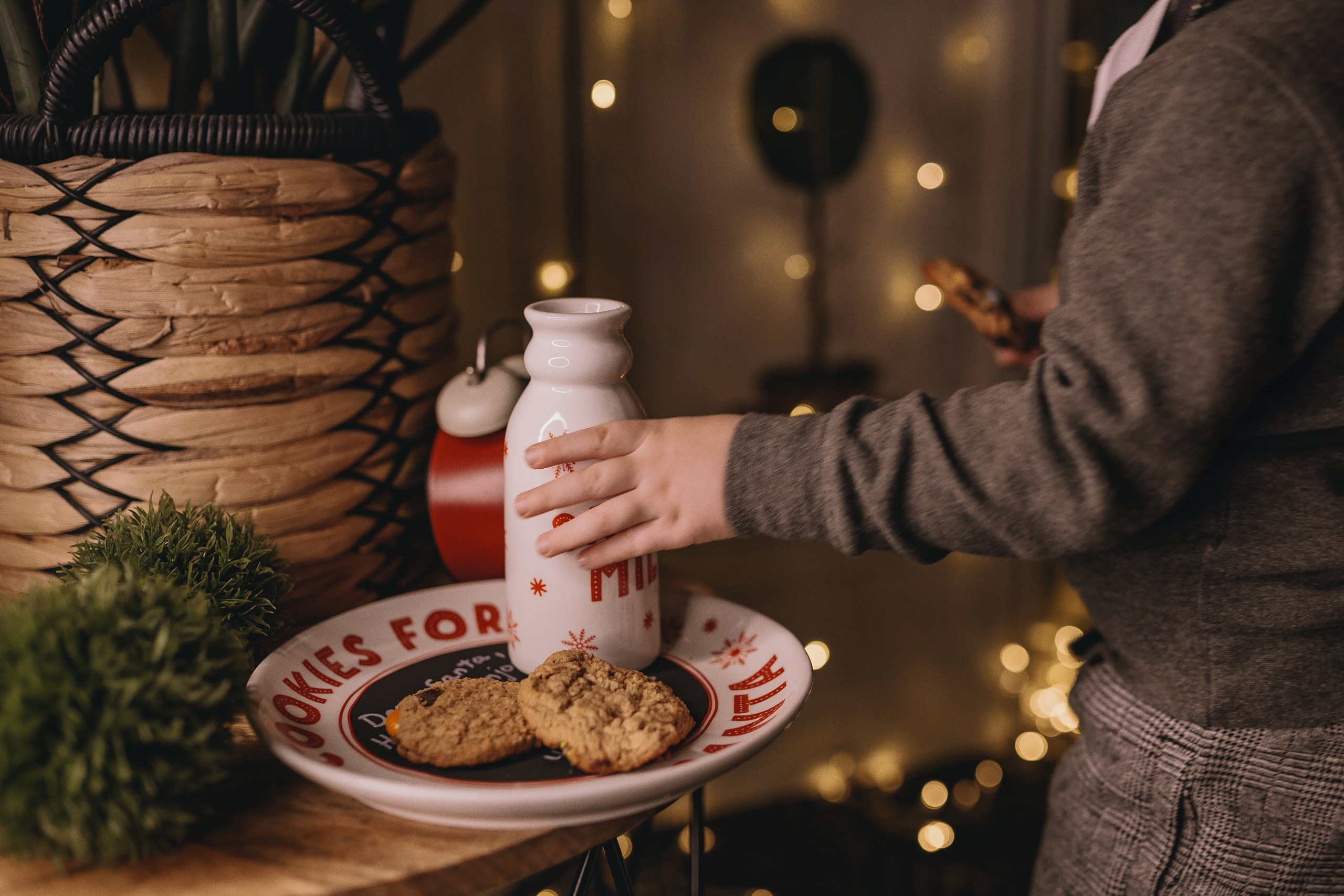 11.16.2025 Christmas Photoshoot. Wedding family event photographer in Chicago Nick Yushevich