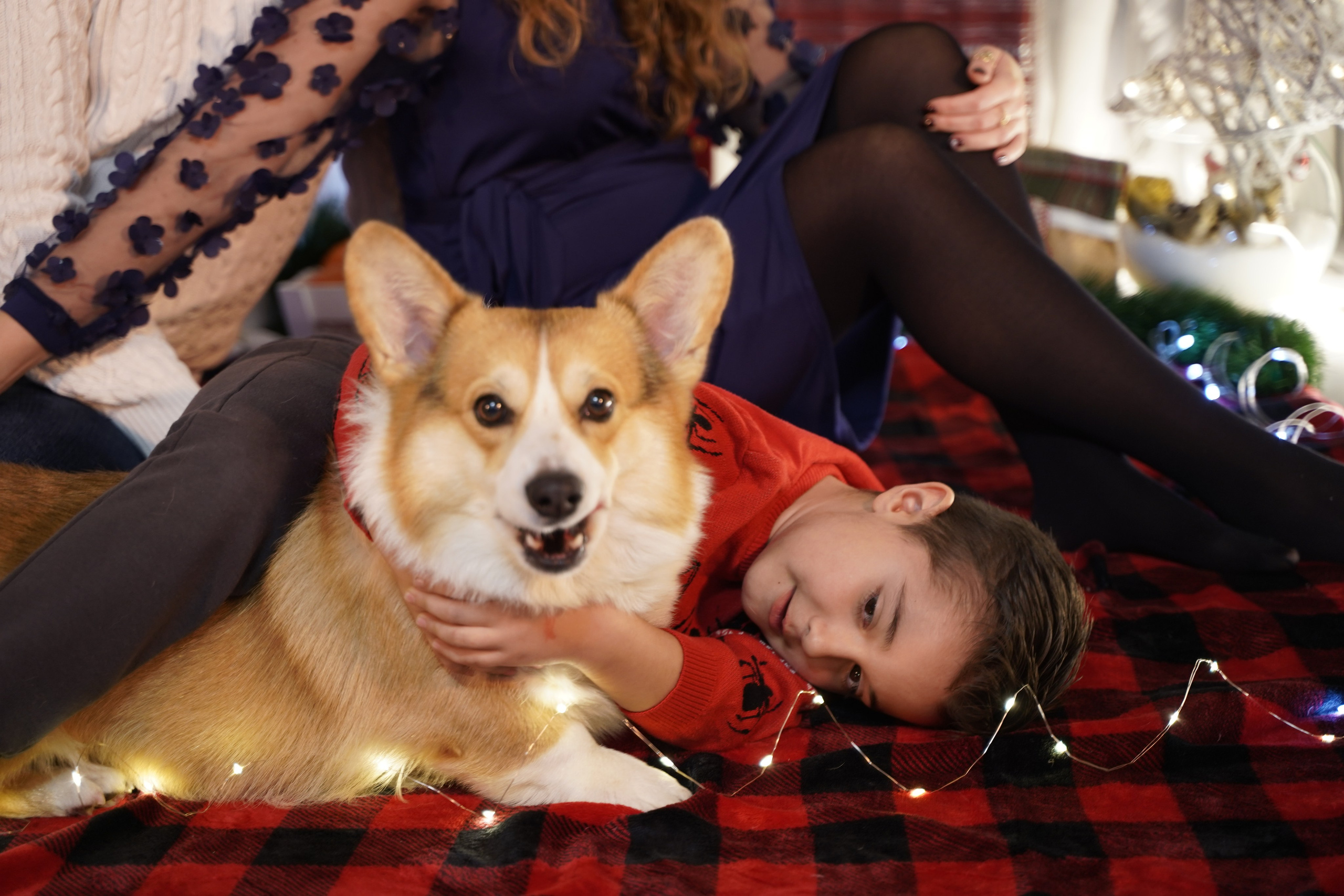 Волшебство под елкой. Фотограф. Визуал. Хайфа. Талья Цветкова