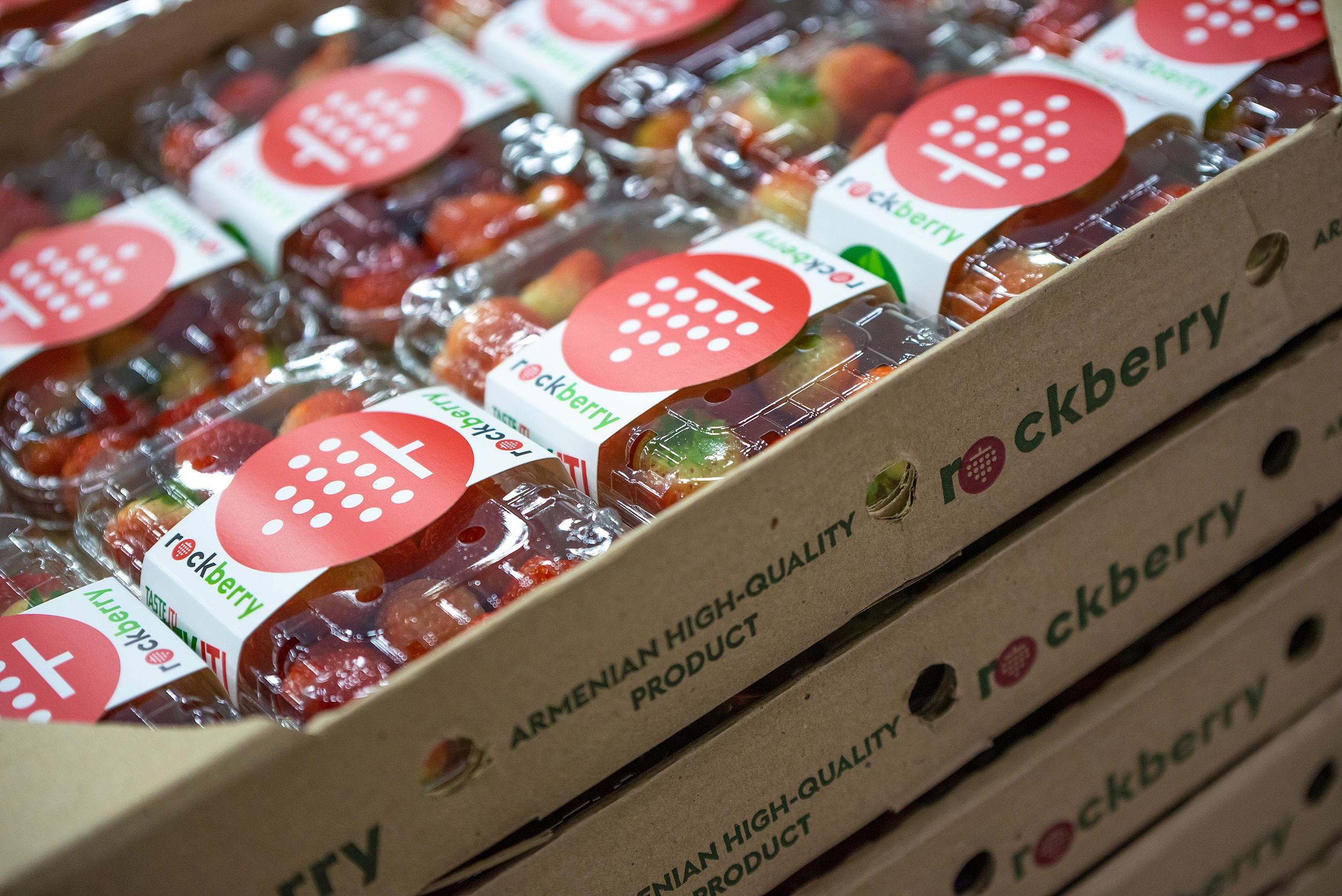 Rockberry. Фотограф в Ереване