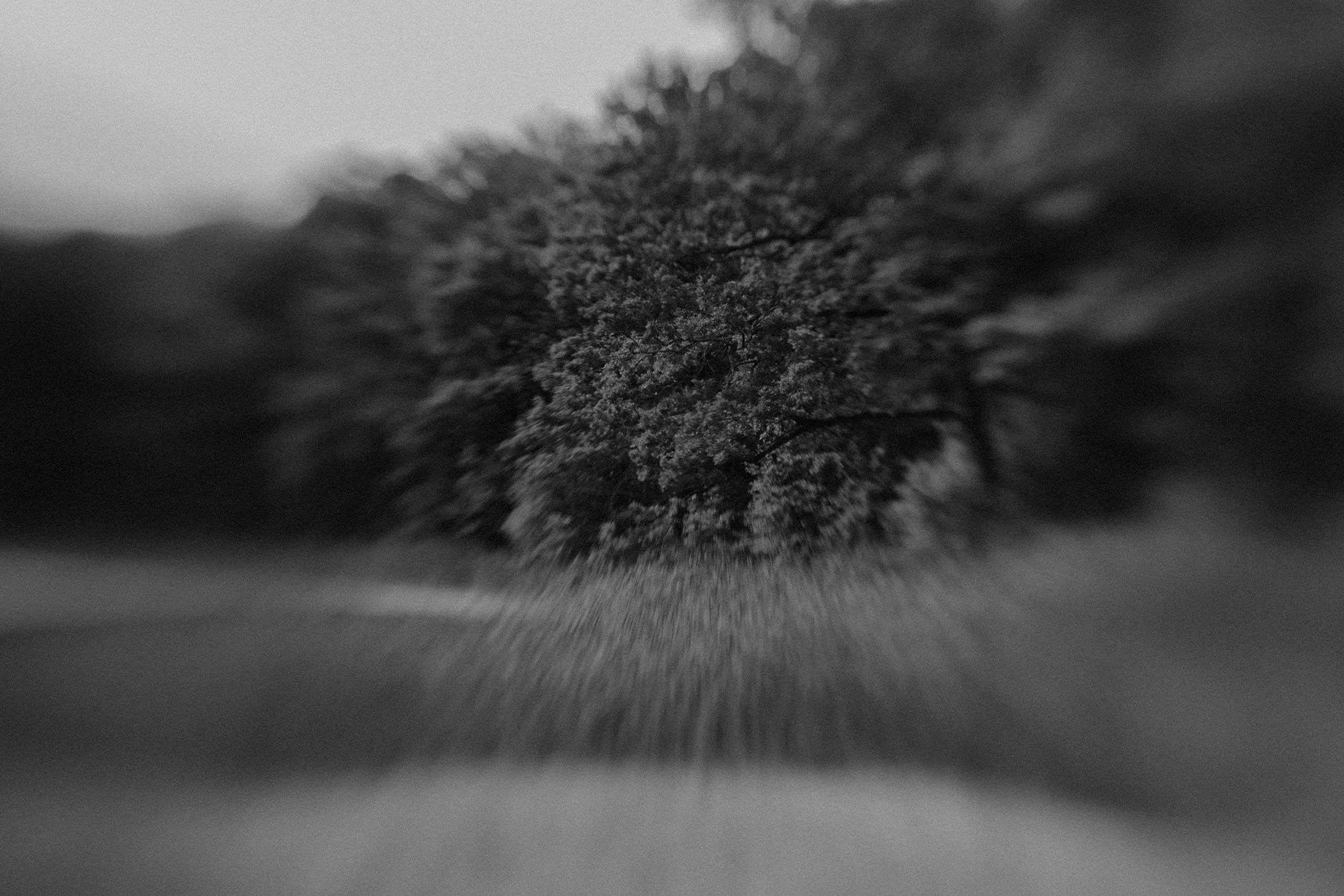 Gallery. Adrian Aioanei — Fotograf profesionist de nuntă în Iași, Suceava și București. Specializat în evenimente, portrete și fine art