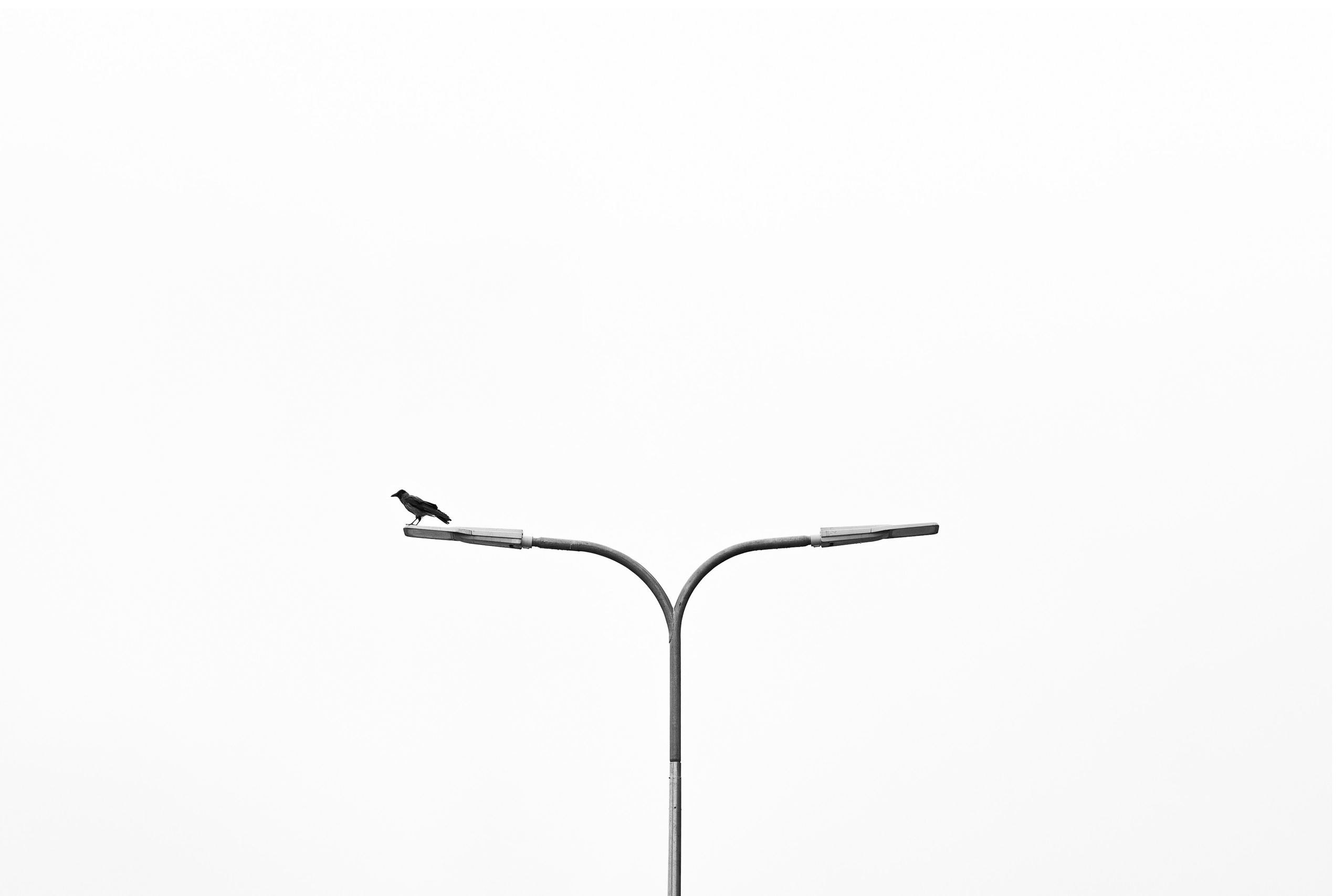 Street Photography. Portree- ja perefotograaf Anton Hansen Tallinnas, Eestis