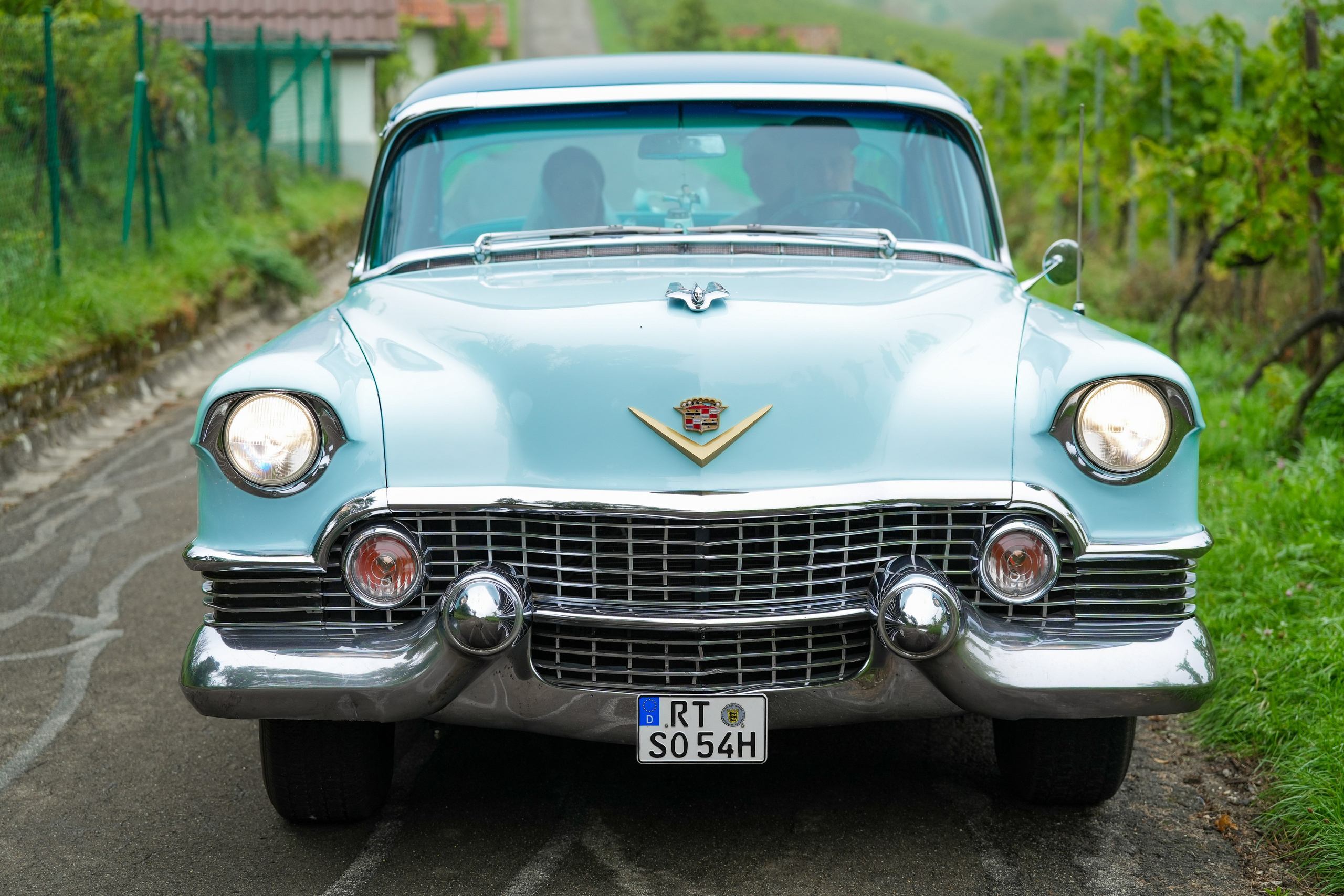 Zhamal & Eduard. Fotostudio in Metzingen