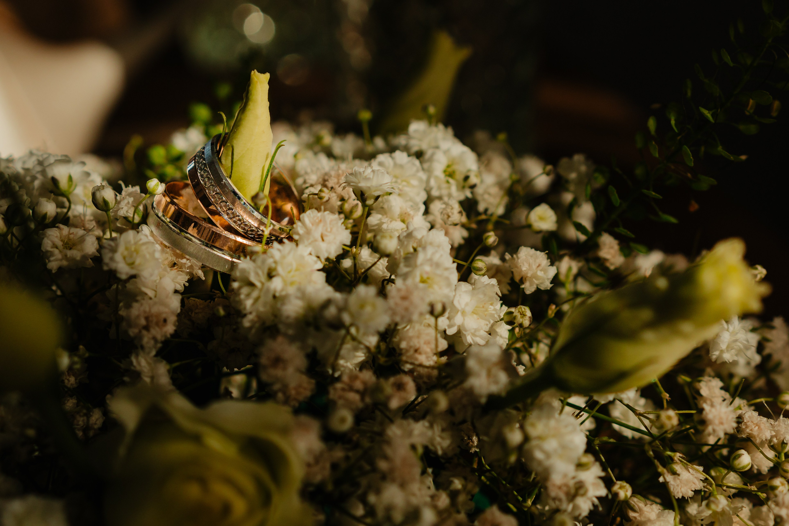 Fotografii Nuntă. Pantelimon Fotograf