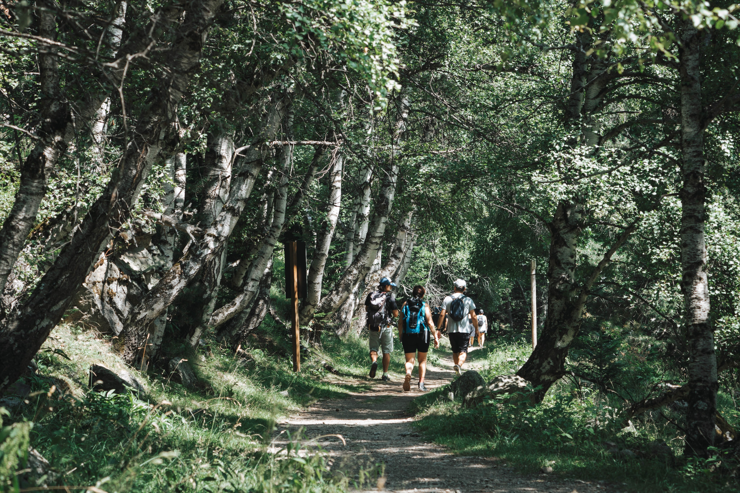 Parque Nacional de Aigüestortes y Estany de Sant Maurici. Alba del Norte Studio