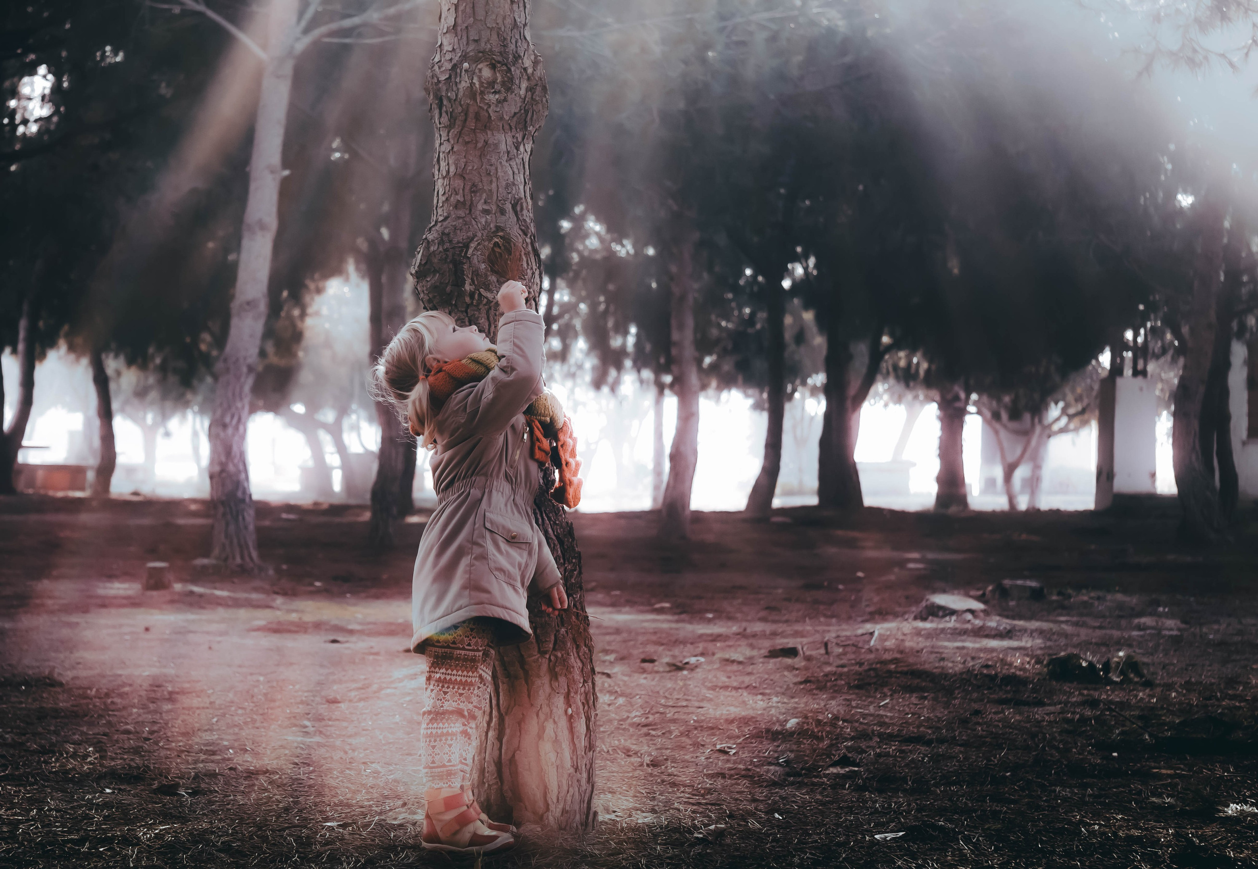 Magic moments. Alba del Norte Studio