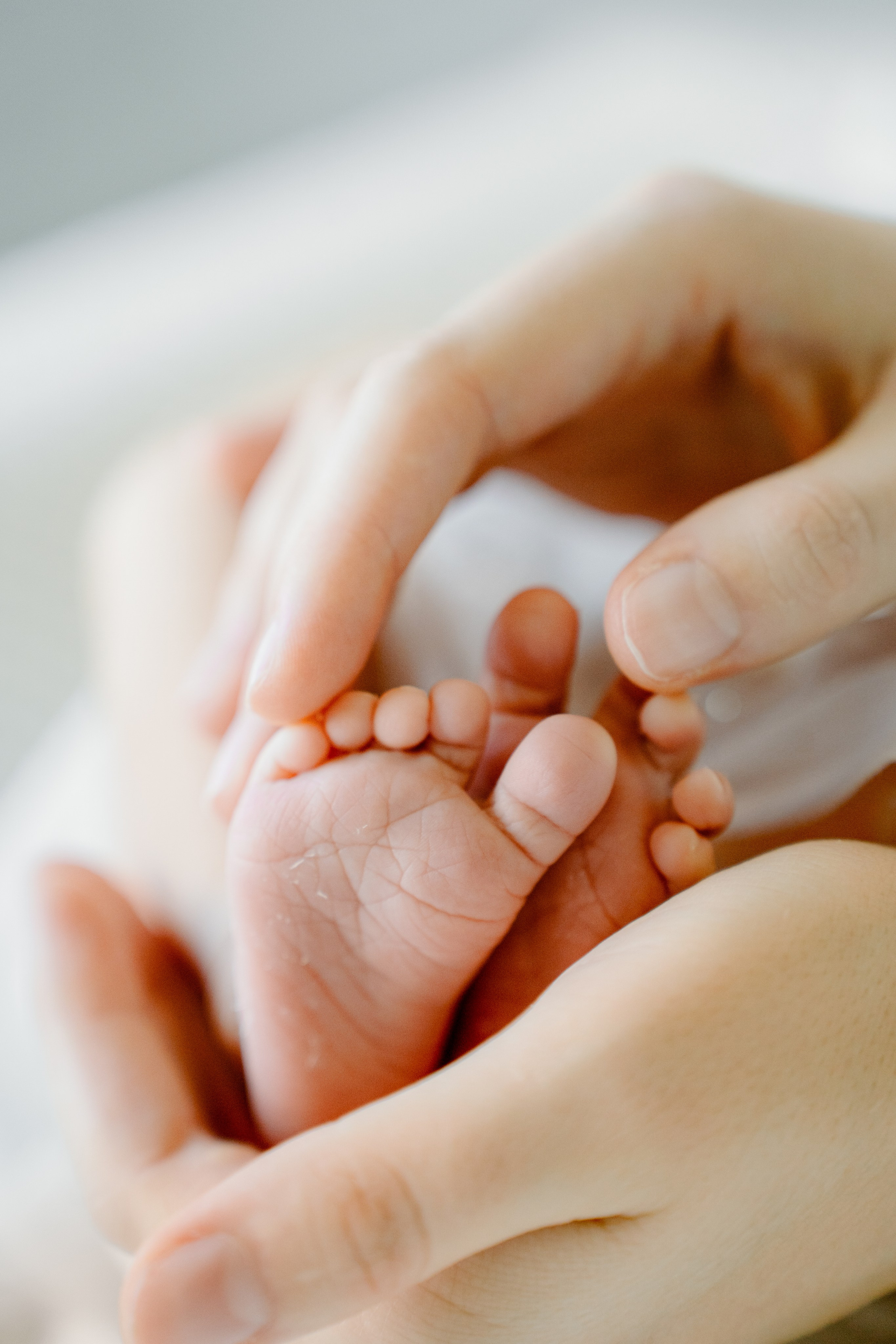 New born. Photographer in Portugal Polina Gotovaya