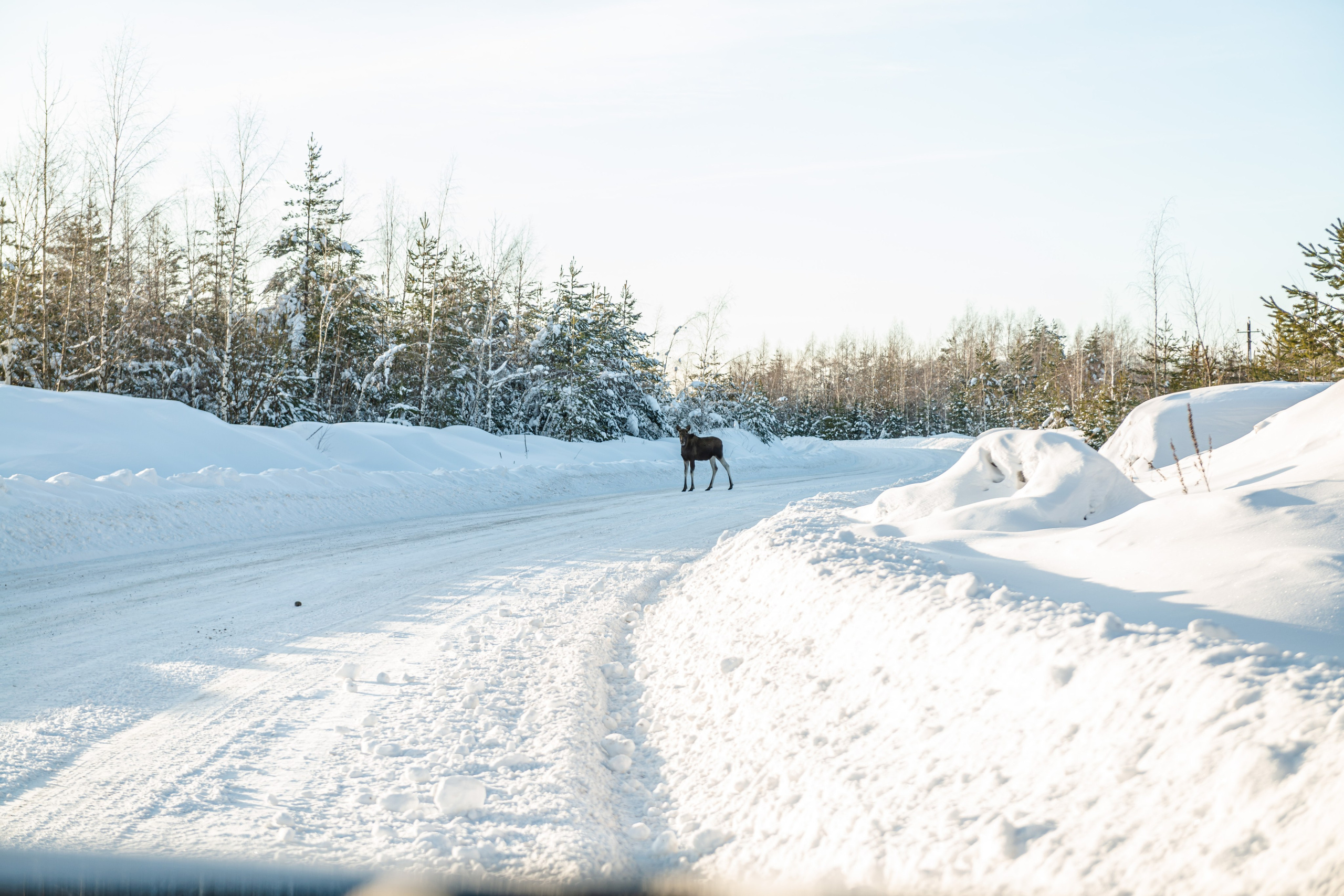 Автомобильная фотосъемка Geely Monjaro. FOTÓGRAFO MÉXICO QUINTANA ROO