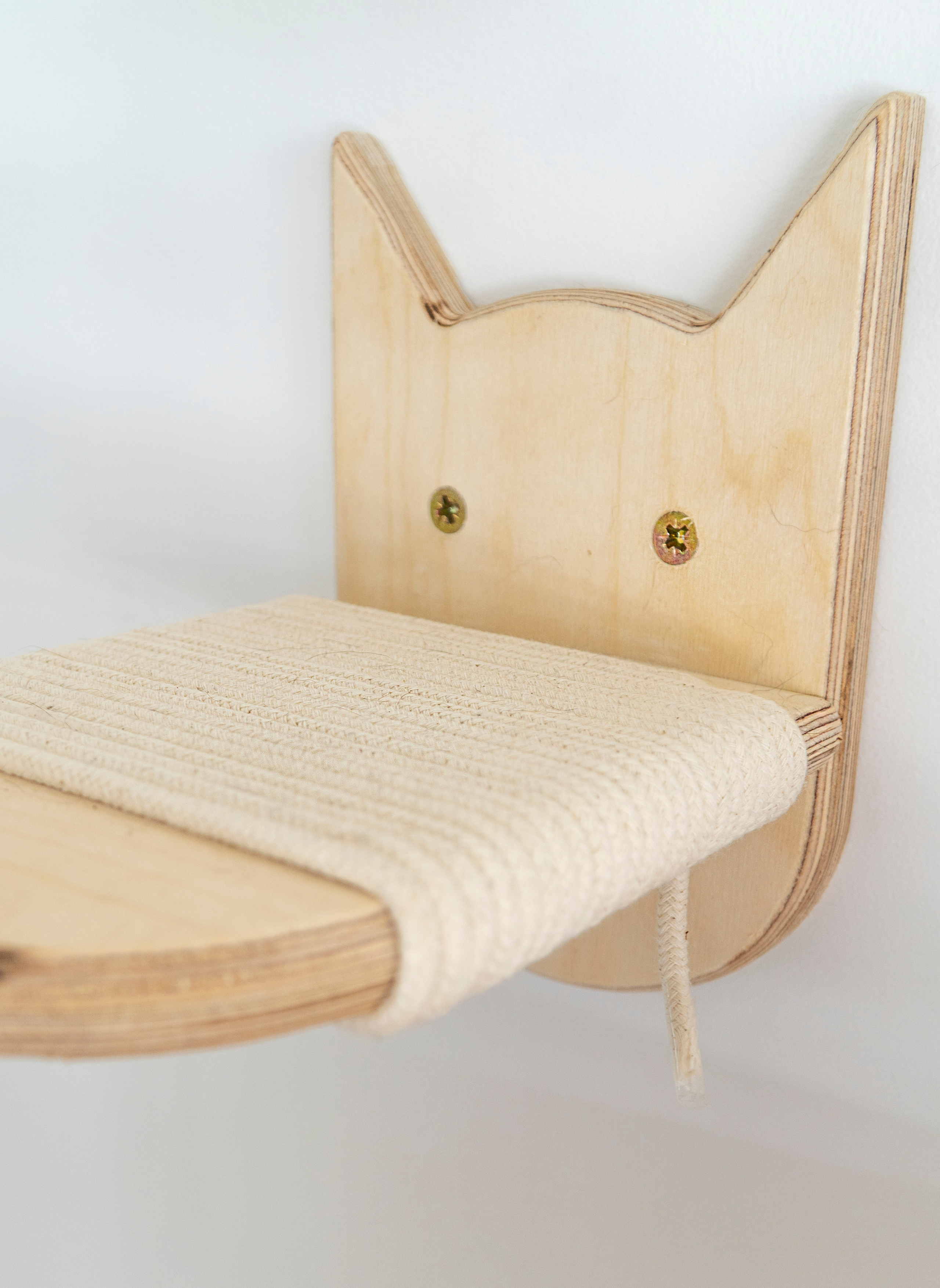 Mr Cat Home. Ellstudio film production